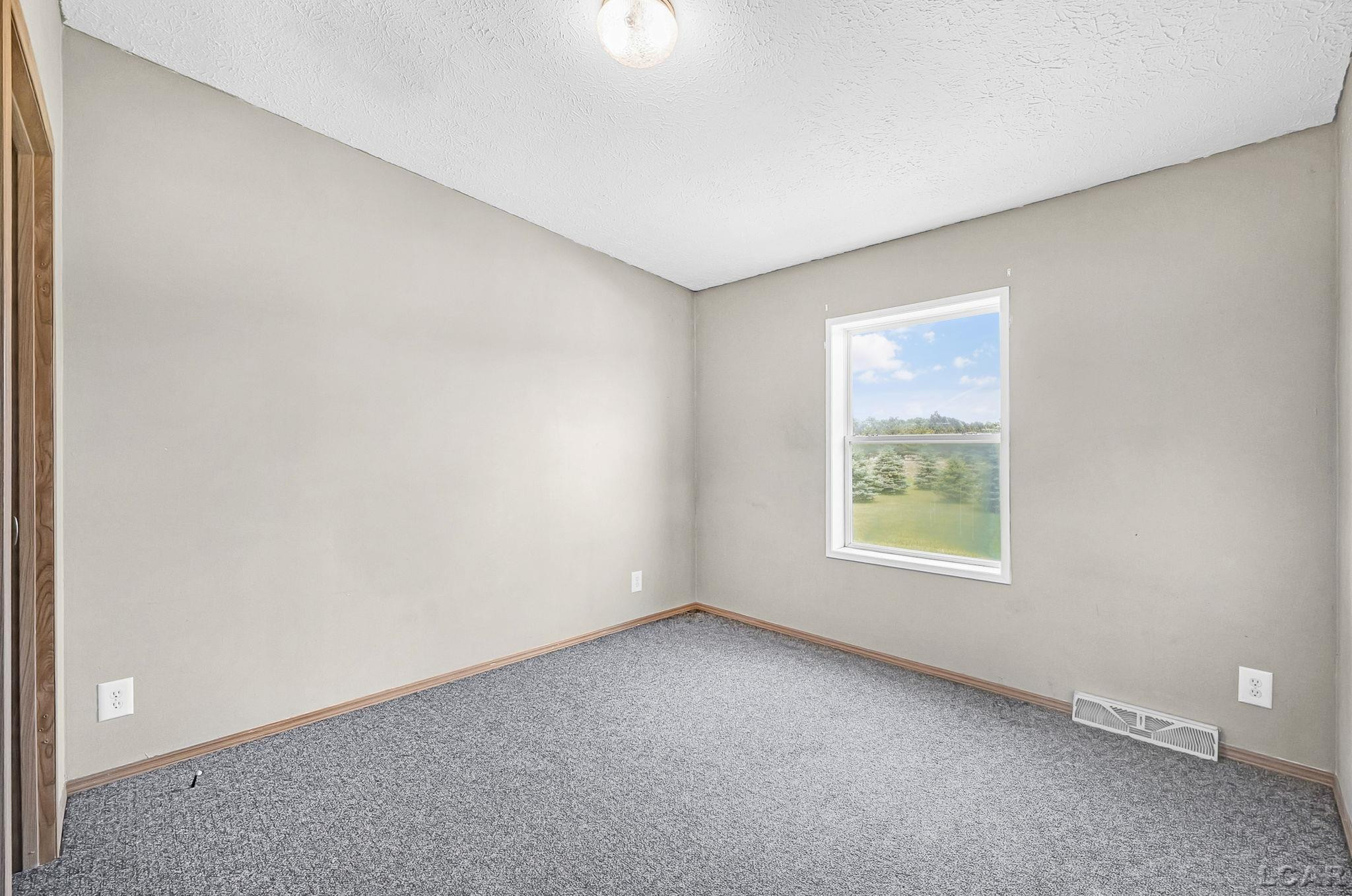 7887 Turk Road, MI 49267 — Photo 15