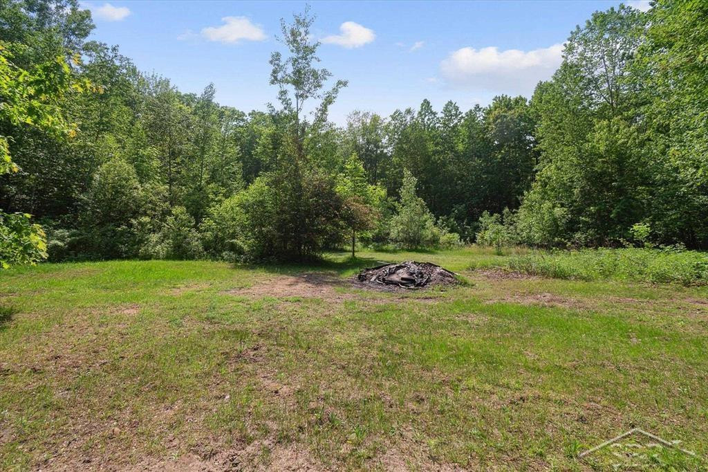 3251 W Dana Road, Coleman, MI 48618 — Photo 38