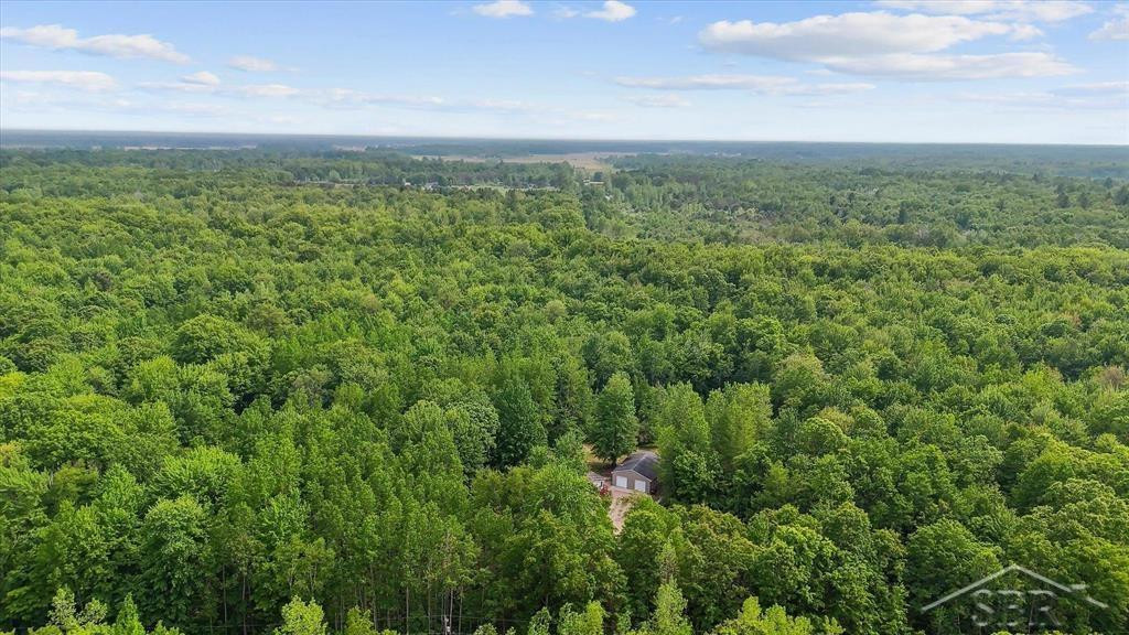 3251 W Dana Road, Coleman, MI 48618 — Photo 43