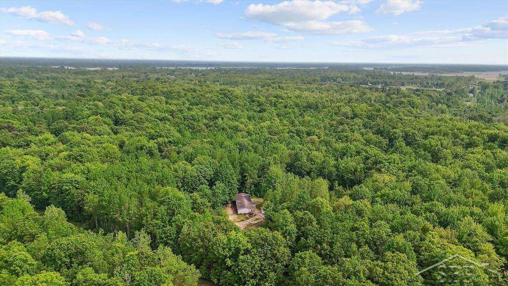 3251 W Dana Road, Coleman, MI 48618 — Photo 44