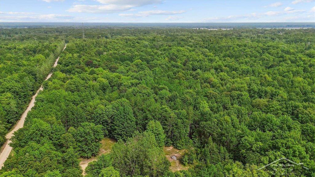 3251 W Dana Road, Coleman, MI 48618 — Photo 45