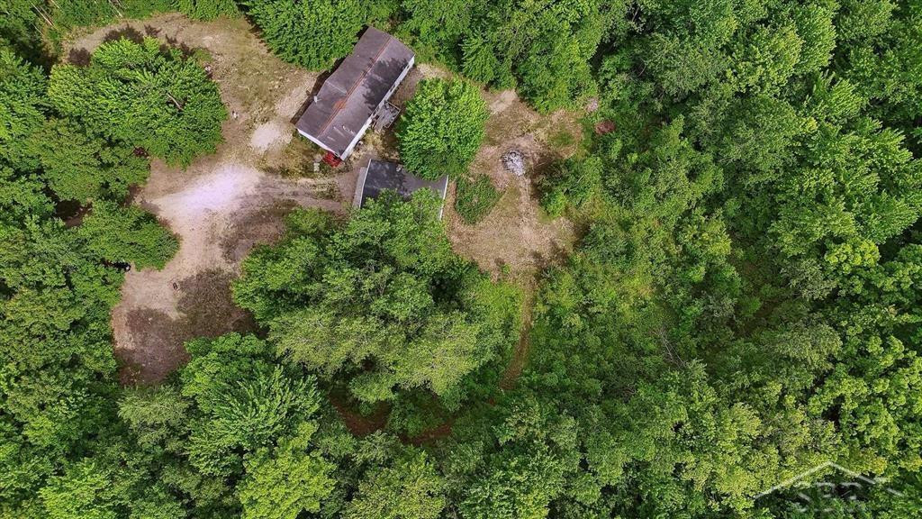 3251 W Dana Road, Coleman, MI 48618 — Photo 46