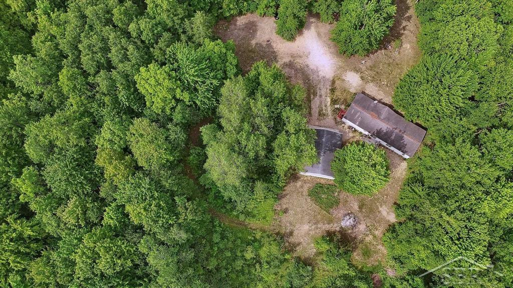 3251 W Dana Road, Coleman, MI 48618 — Photo 47