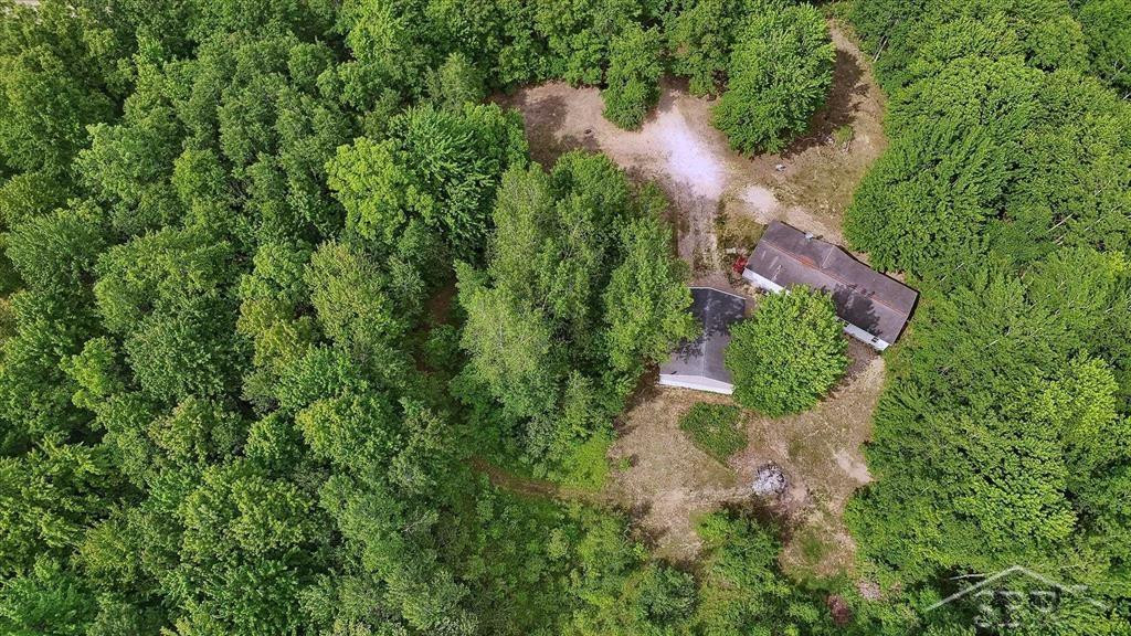 3251 W Dana Road, Coleman, MI 48618 — Photo 48