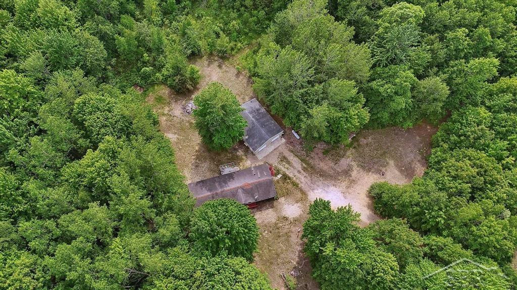 3251 W Dana Road, Coleman, MI 48618 — Photo 49