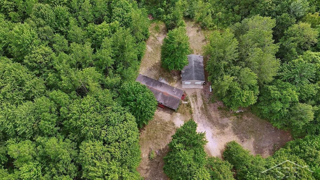 3251 W Dana Road, Coleman, MI 48618 — Photo 50