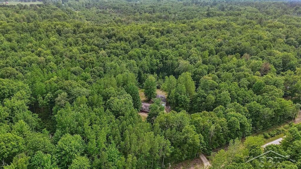 3251 W Dana Road, Coleman, MI 48618 — Photo 51