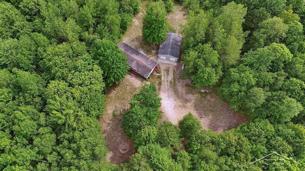 3251 W Dana Road, Coleman, MI 48618 — Photo 52
