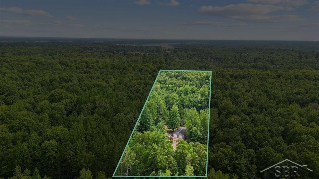 3251 W Dana Road, Coleman, MI 48618 — Photo 53