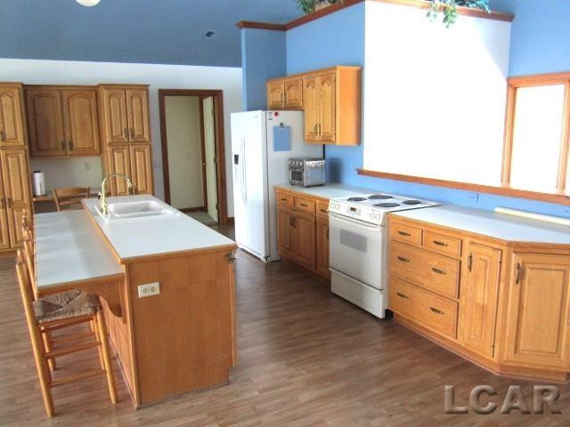 280 Sunset Drive Drive, Hudson, MI 49247 — Photo 10