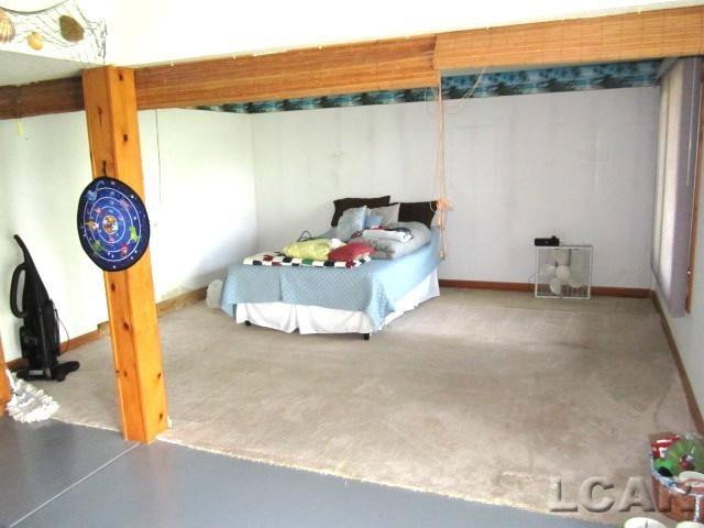280 Sunset Drive Drive, Hudson, MI 49247 — Photo 19