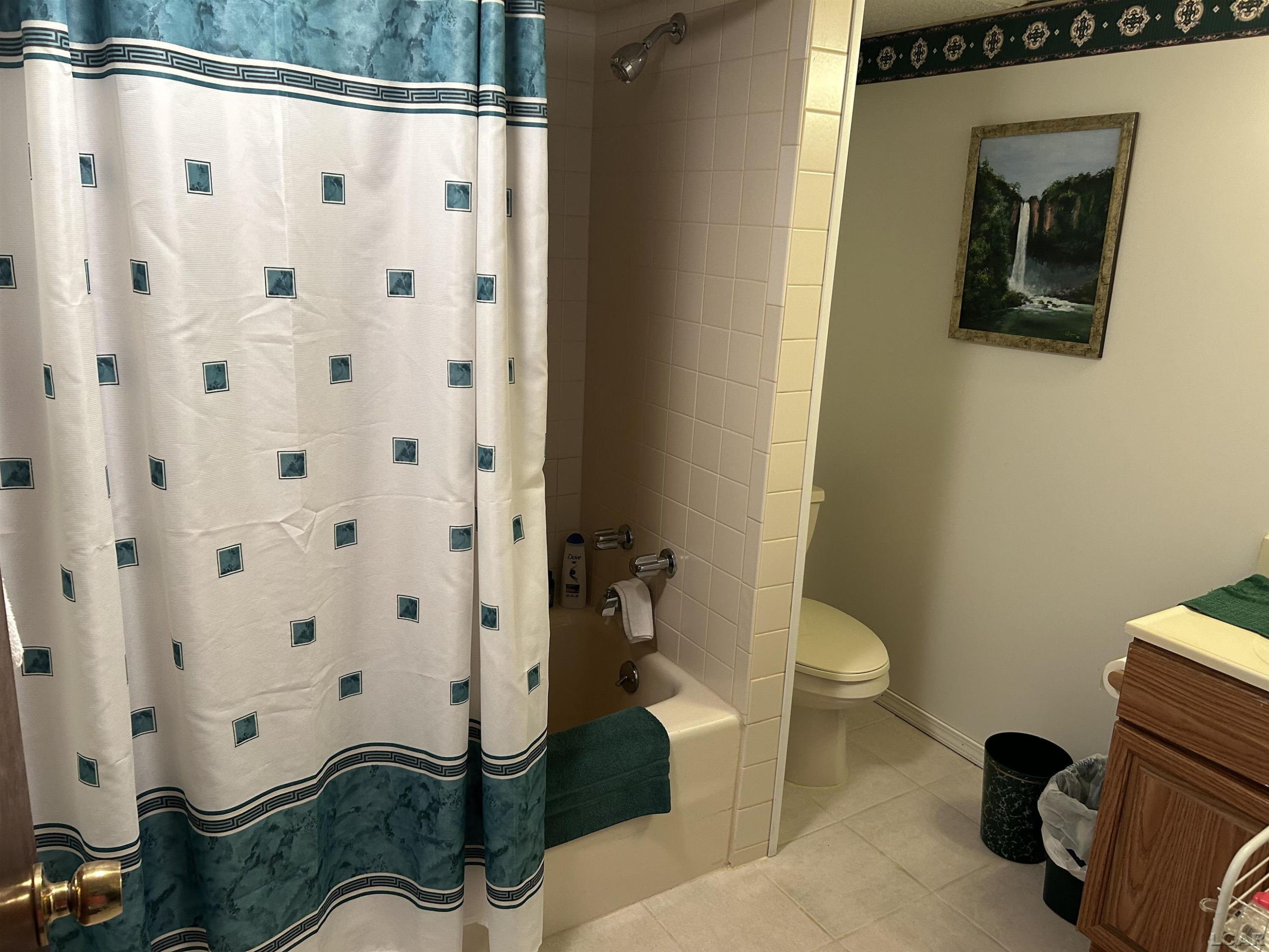 112 Kilkenny Drive, Onsted, MI 49265 — Photo 18