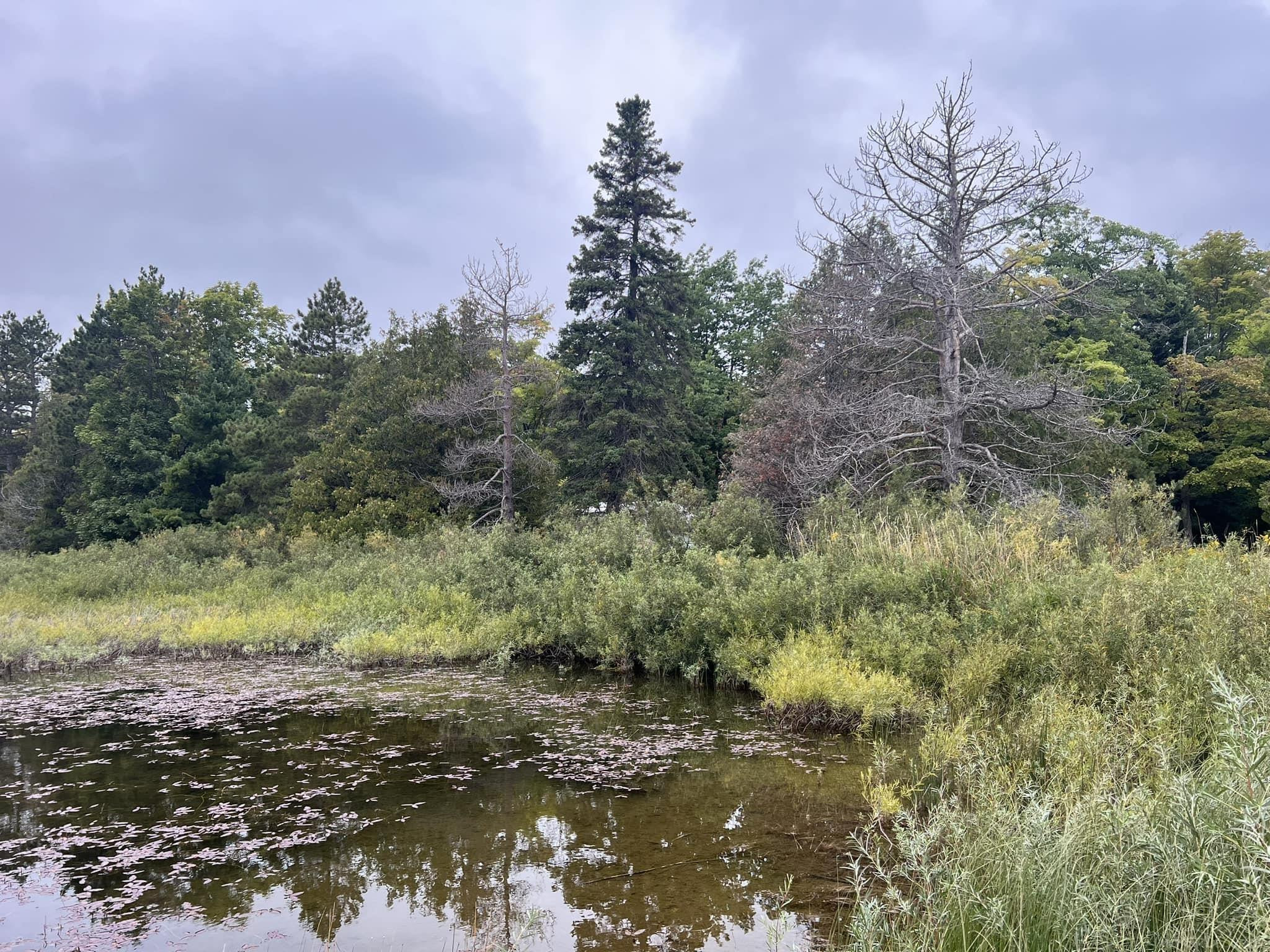 30410 Co Rd 407 Road, Newberry, MI 49868 — Photo 5