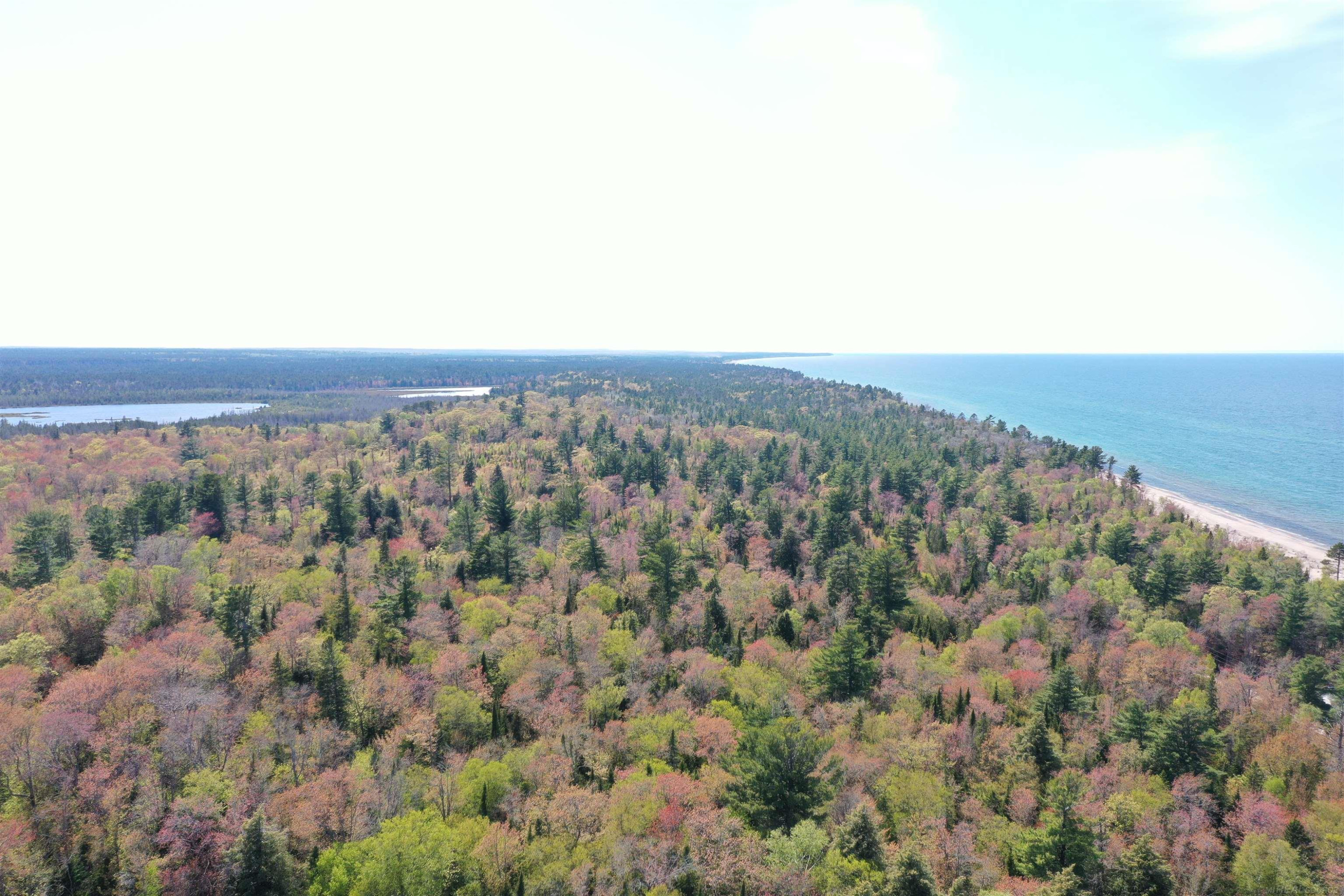 30410 Co Rd 407 Road, Newberry, MI 49868 — Photo 57