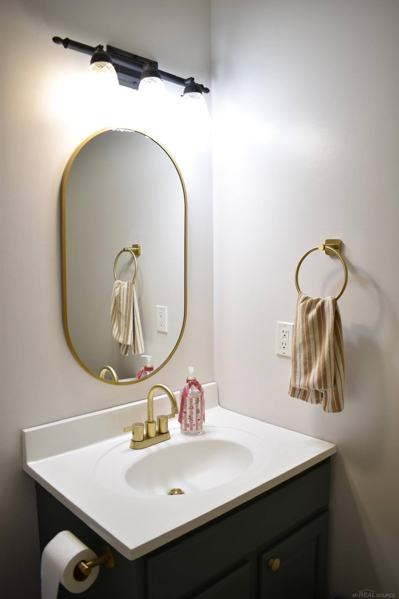 3451 Amber Oaks Drive, Howell, MI 48855 — Photo 14