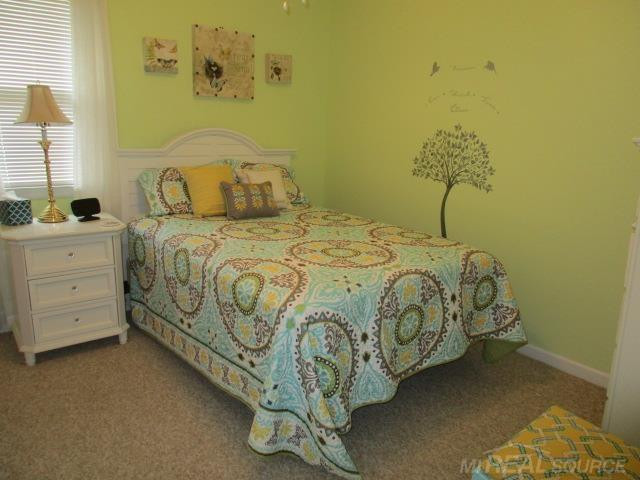 4804 N Lakeshore Road, Deckerville, MI 48427 — Photo 8