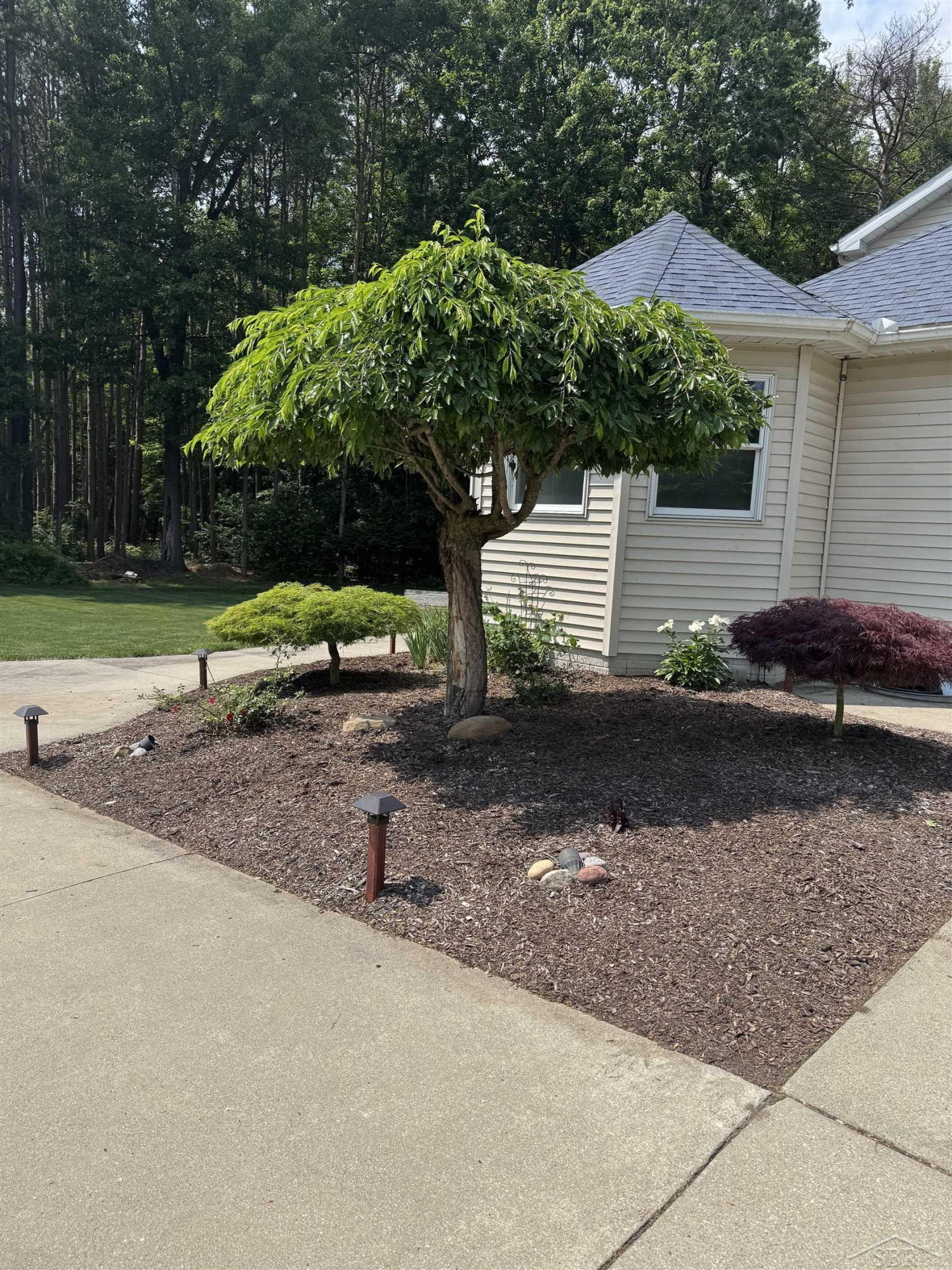 7170 S GRAHAM Road, Saint Charles, MI 48655 — Photo 13