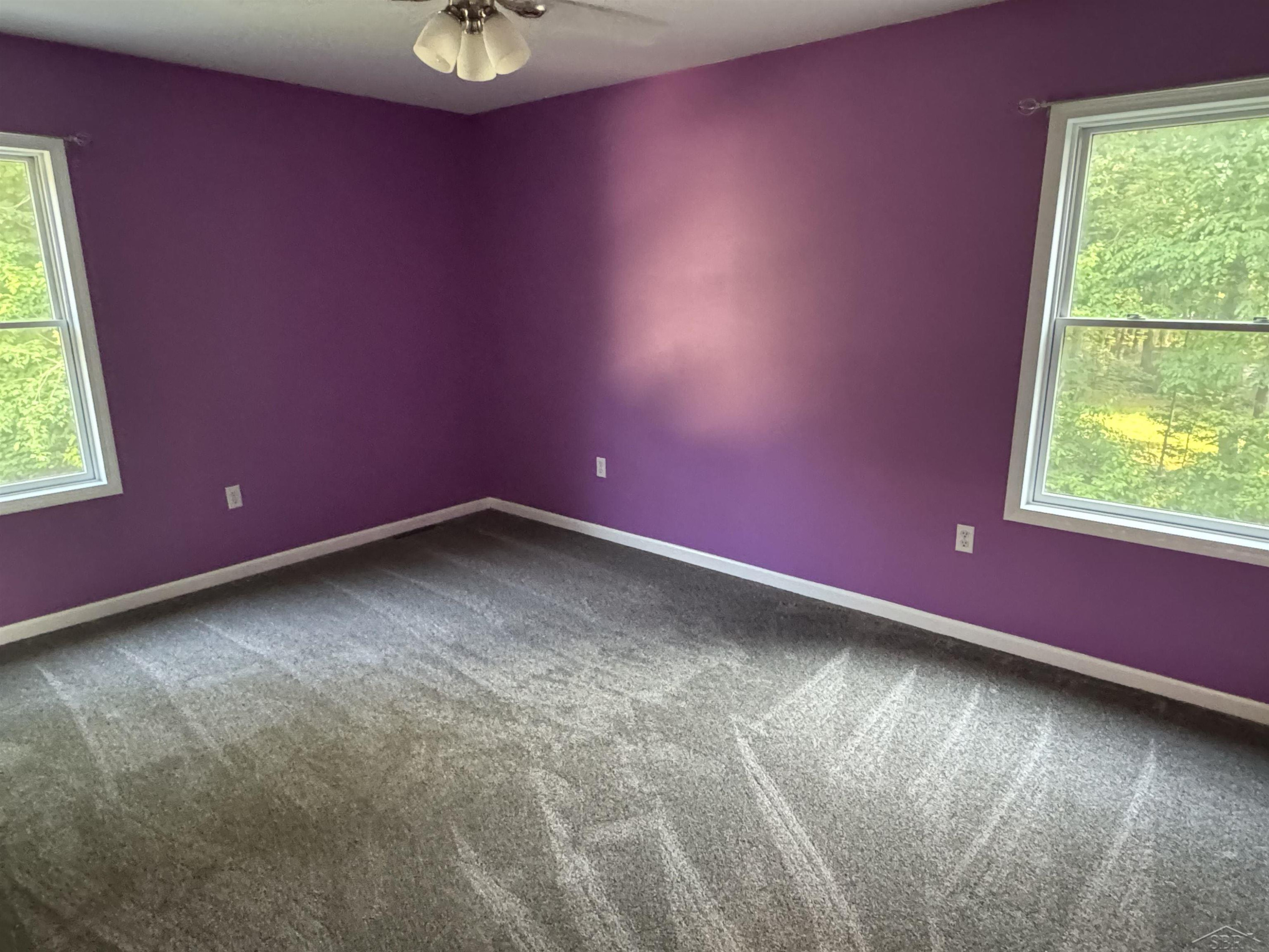 7170 S GRAHAM Road, Saint Charles, MI 48655 — Photo 32