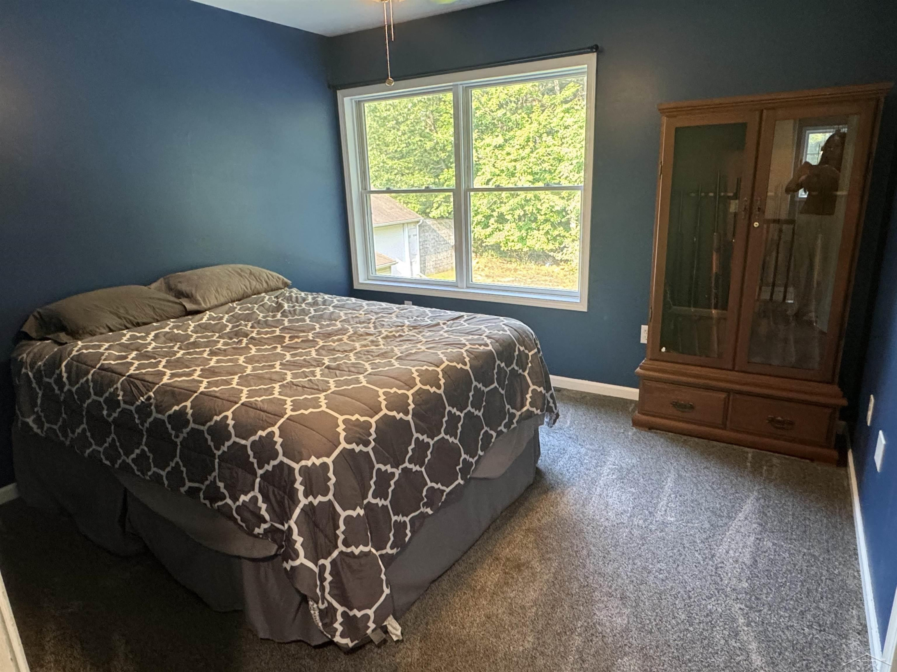 7170 S GRAHAM Road, Saint Charles, MI 48655 — Photo 34