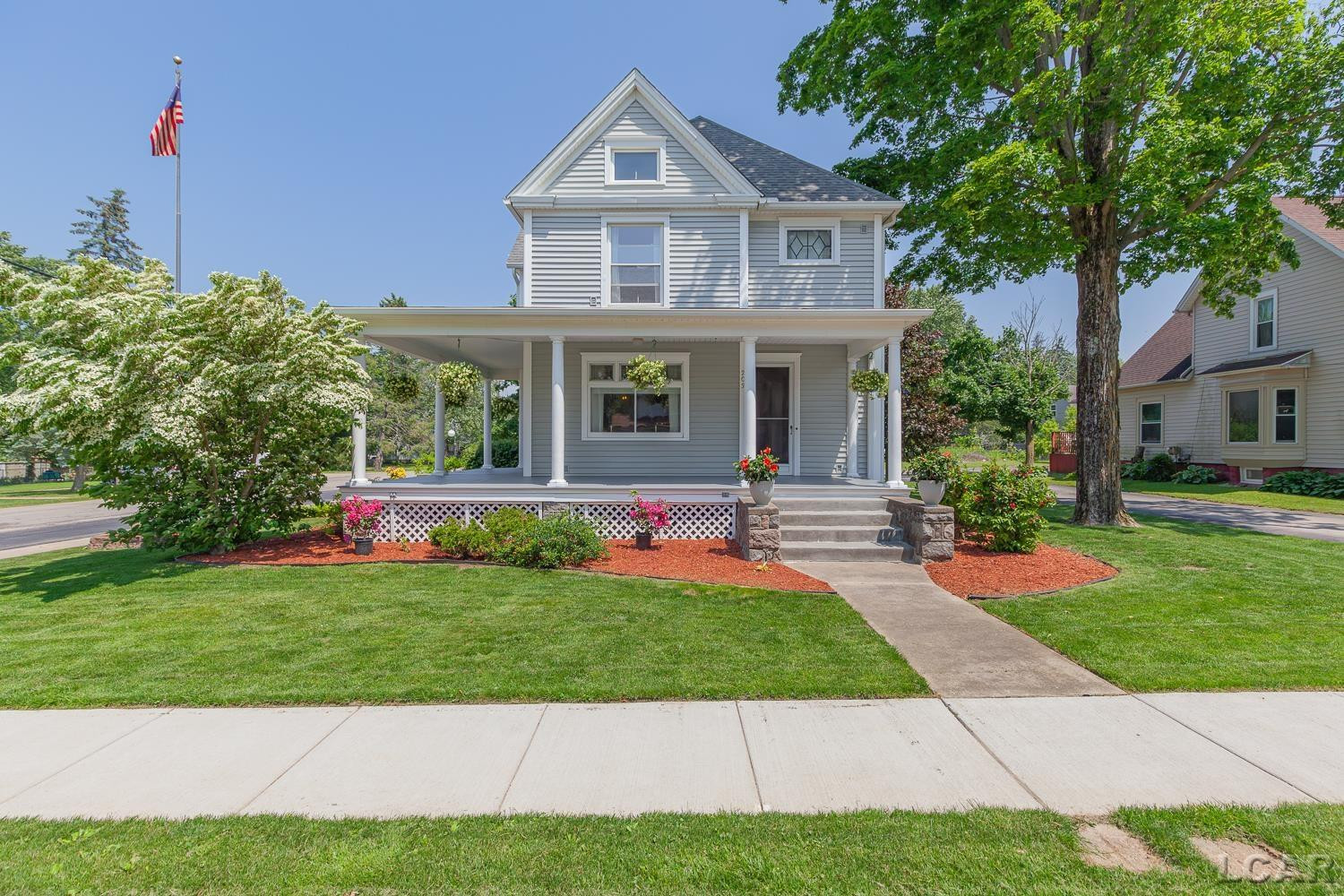 203 S Main Street, Onsted, MI 49265 — Photo 2