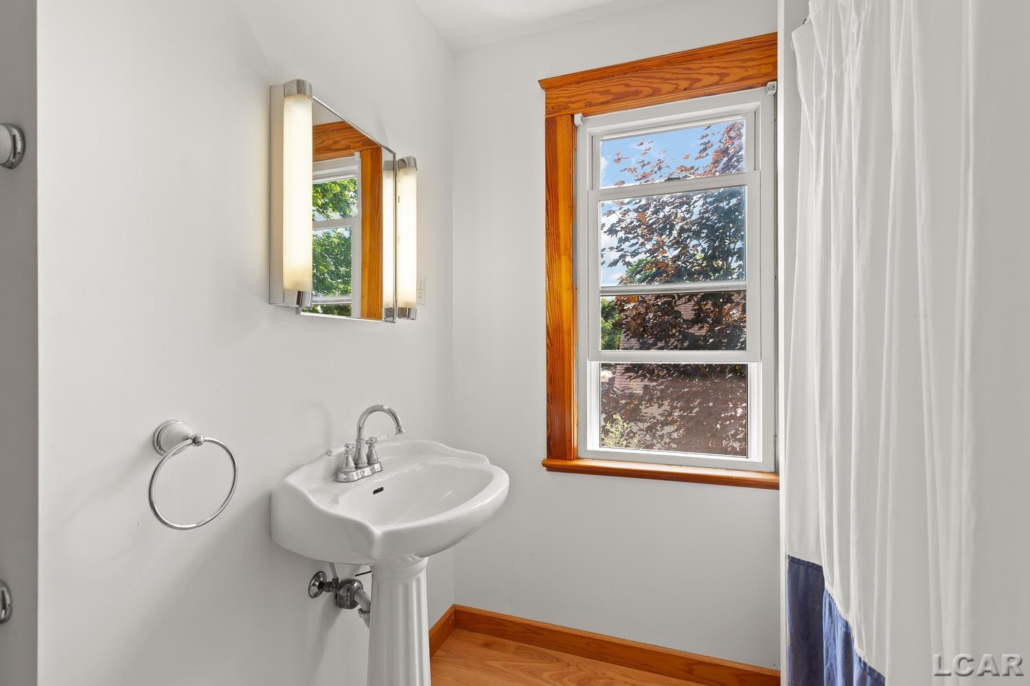 203 S Main Street, Onsted, MI 49265 — Photo 38