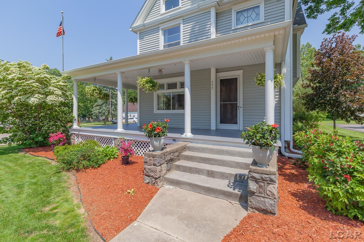 203 S Main Street, Onsted, MI 49265 — Photo 47