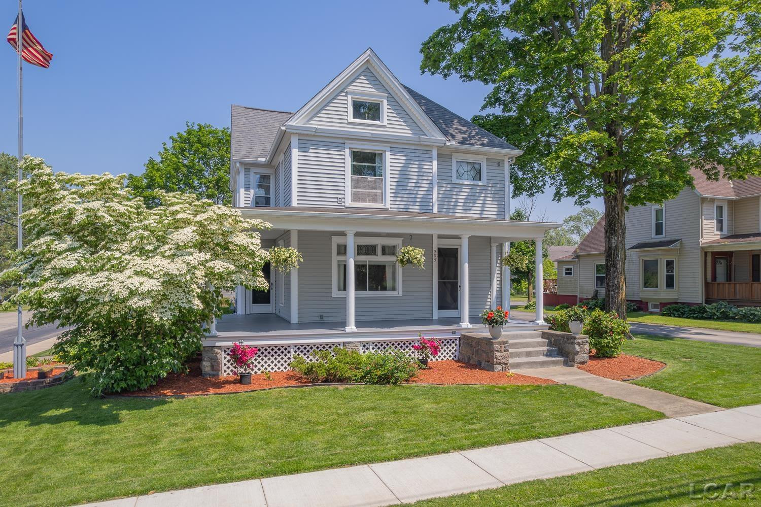 203 S Main Street, Onsted, MI 49265 — Photo 54
