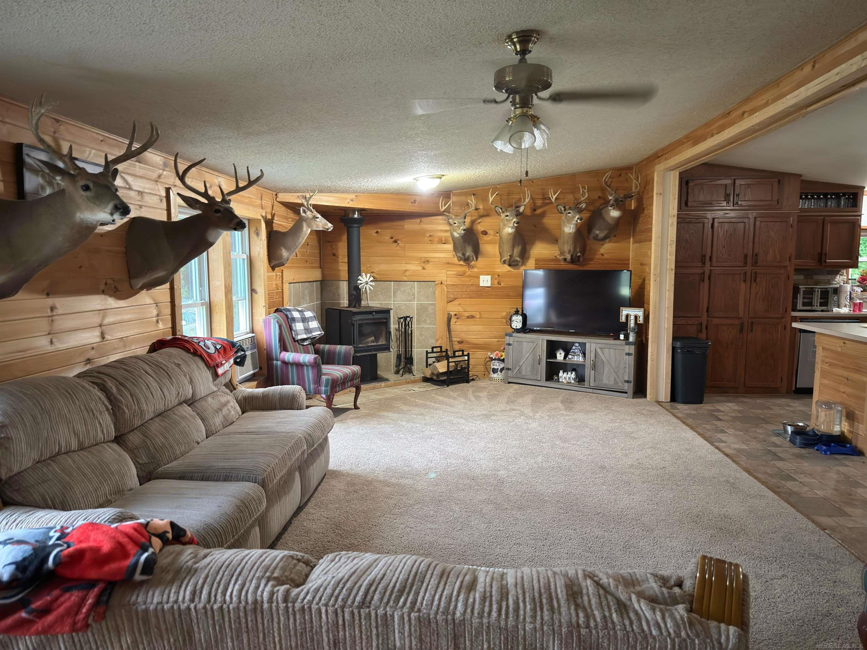8195 Jordan Road, Yale, MI 48097 — Photo 6