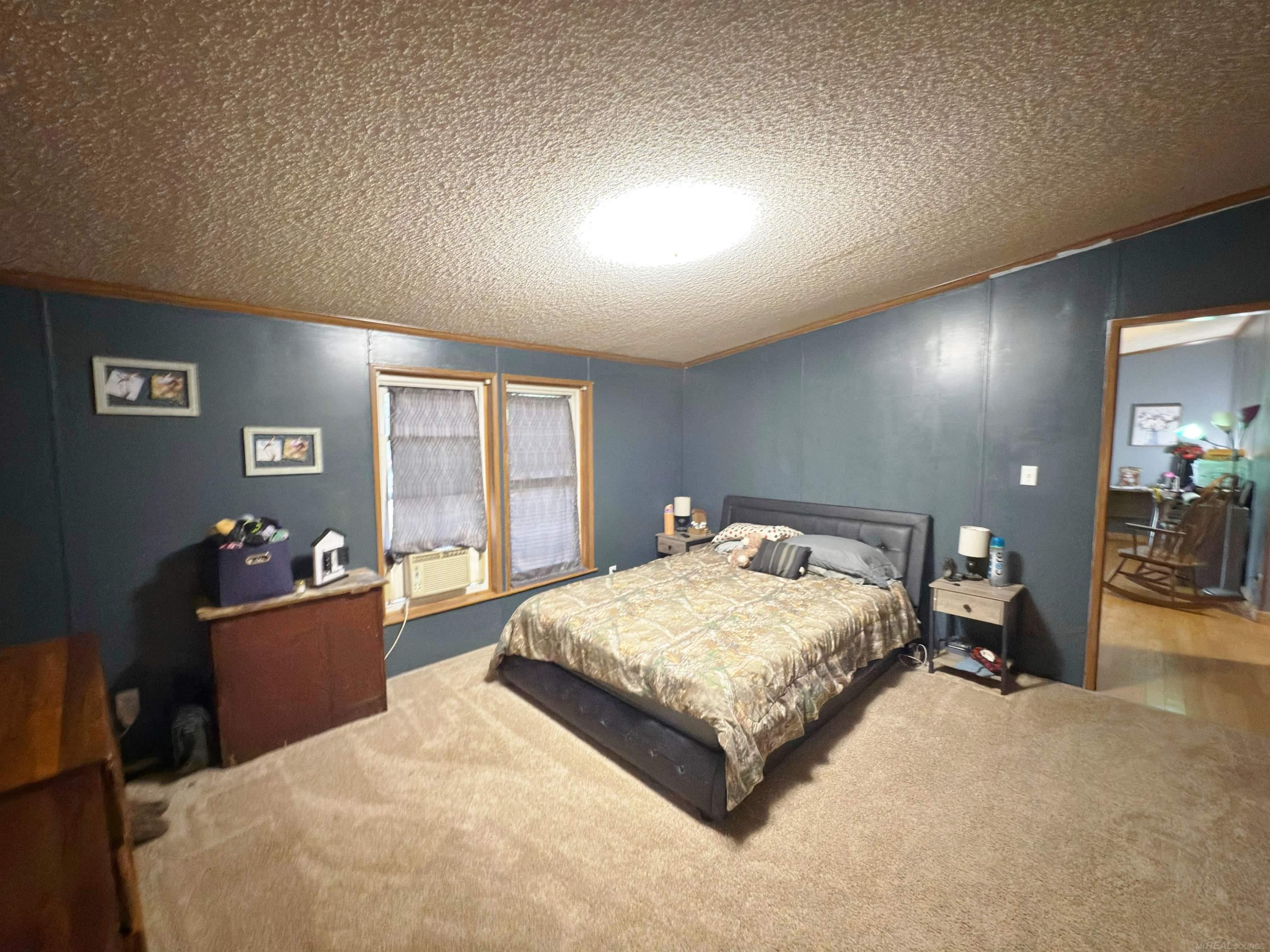 8195 Jordan Road, Yale, MI 48097 — Photo 10