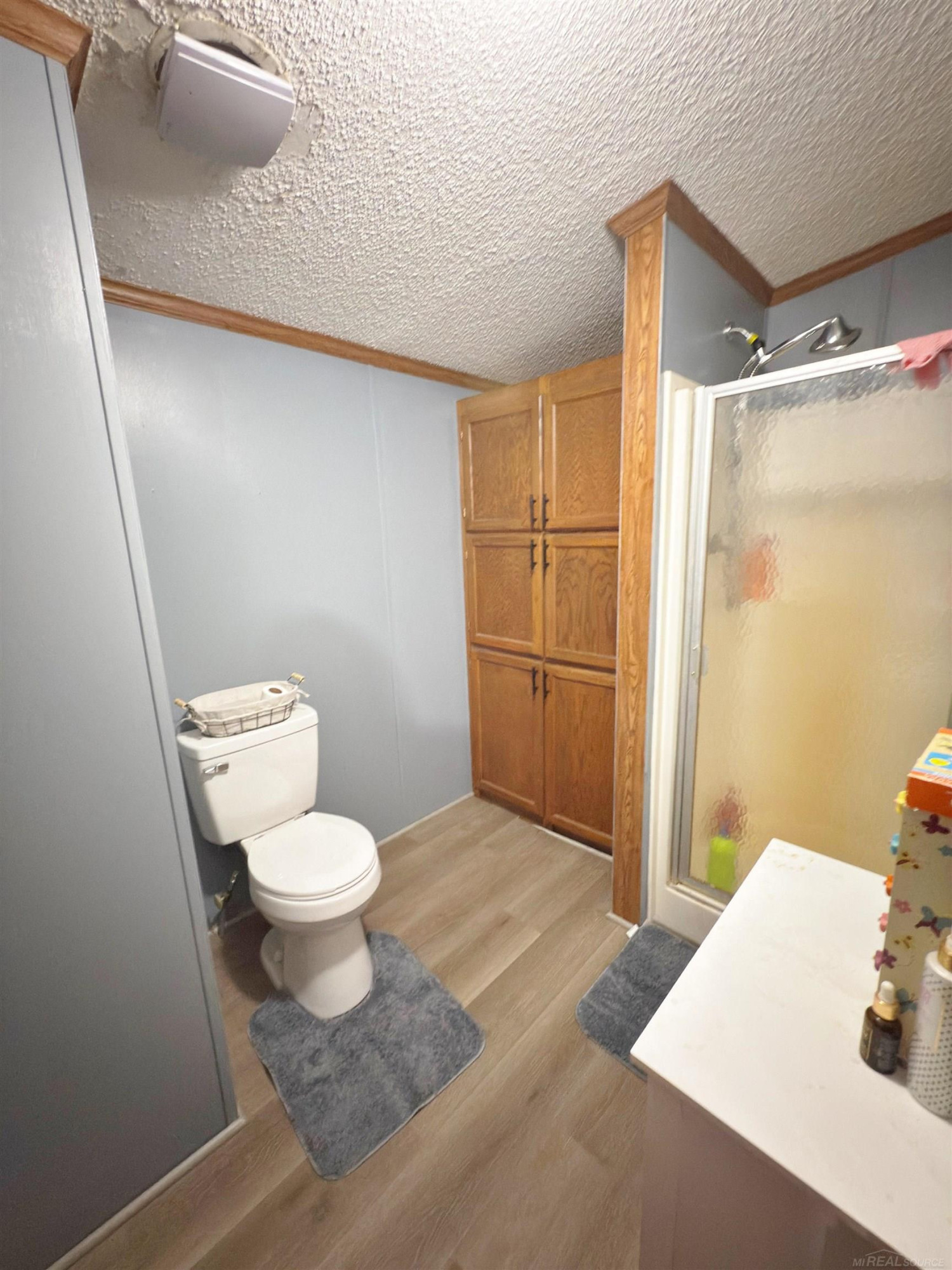 8195 Jordan Road, Yale, MI 48097 — Photo 12