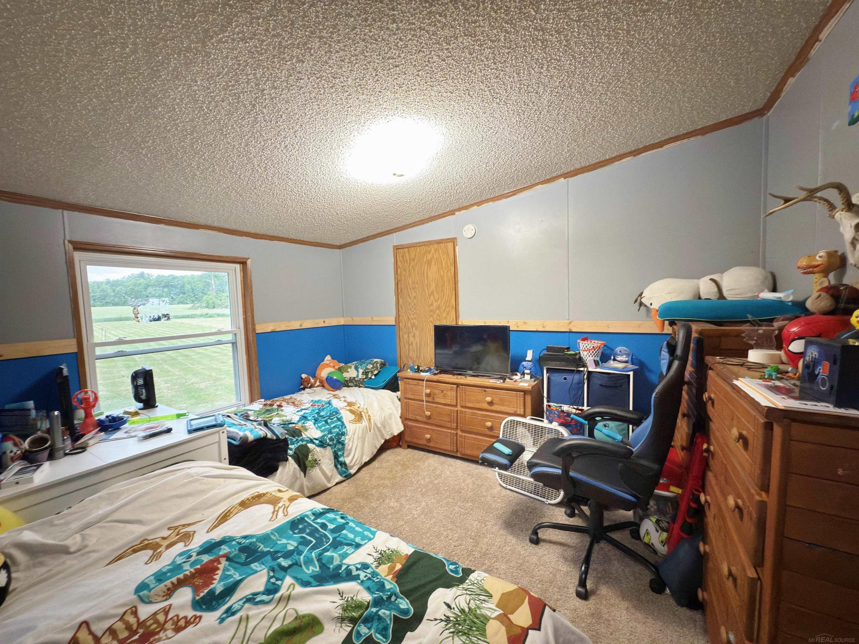 8195 Jordan Road, Yale, MI 48097 — Photo 13