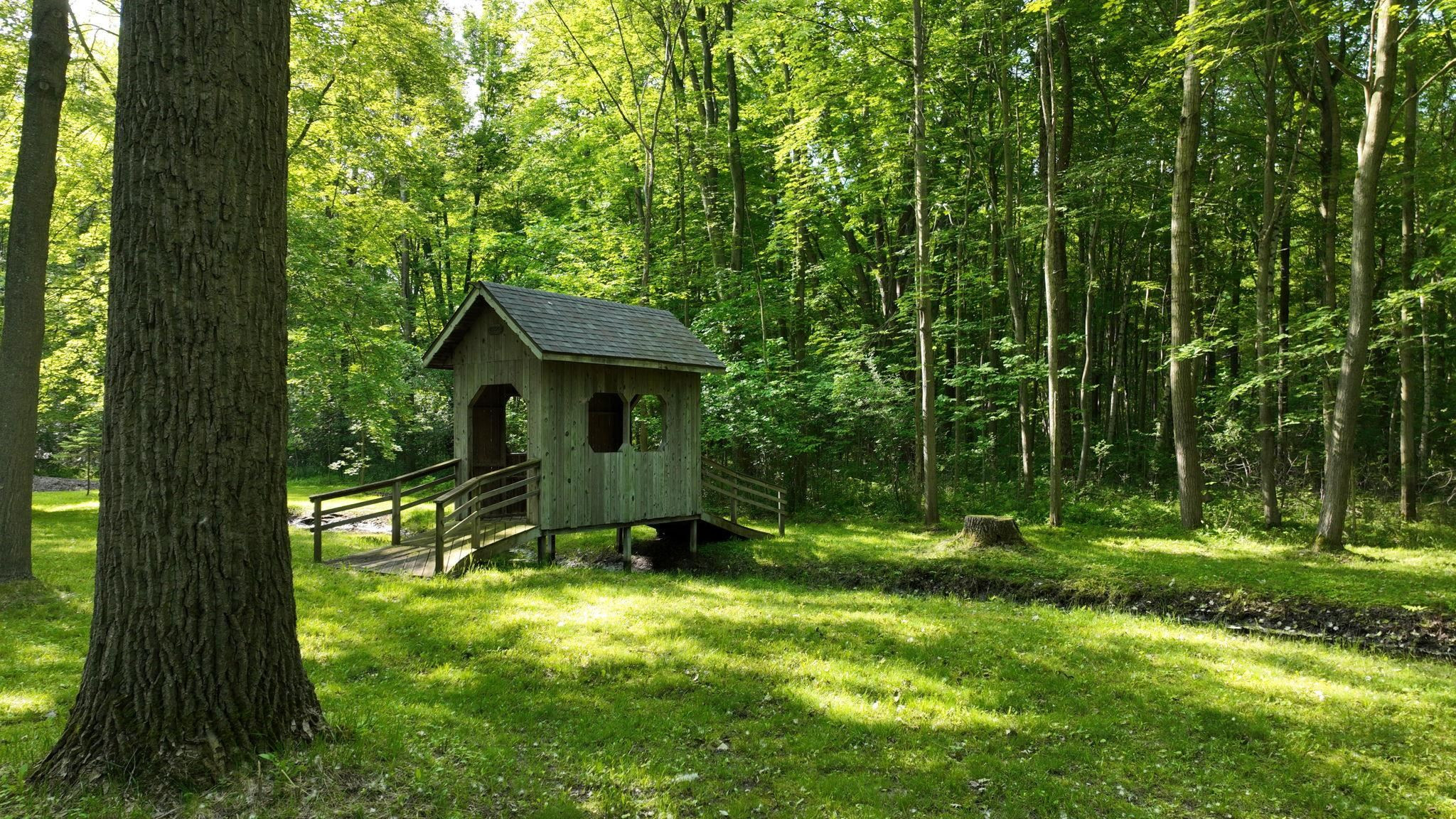 5724 E Townline Road, Birch Run, MI 48415 — Photo 80