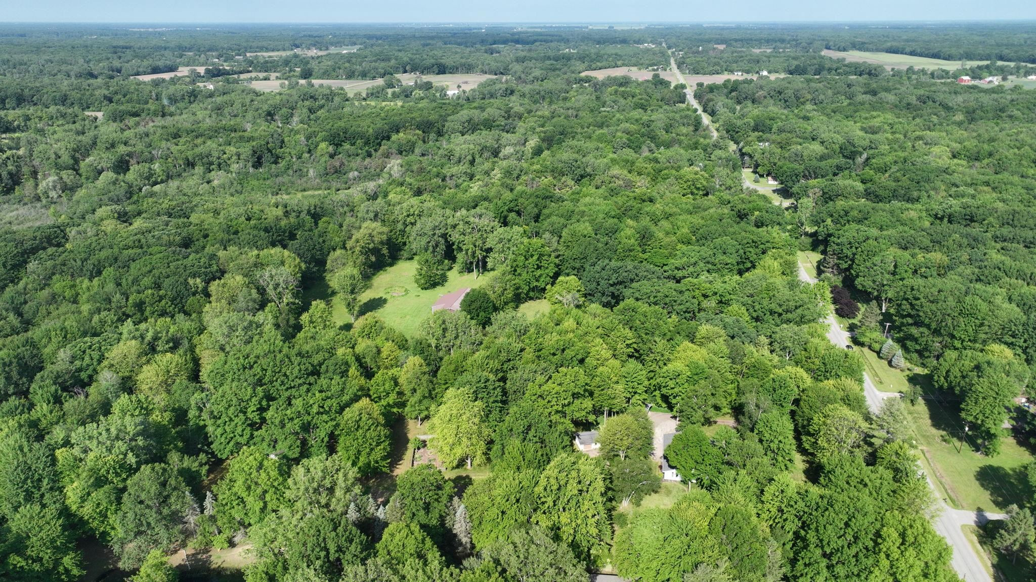5724 E Townline Road, Birch Run, MI 48415 — Photo 86