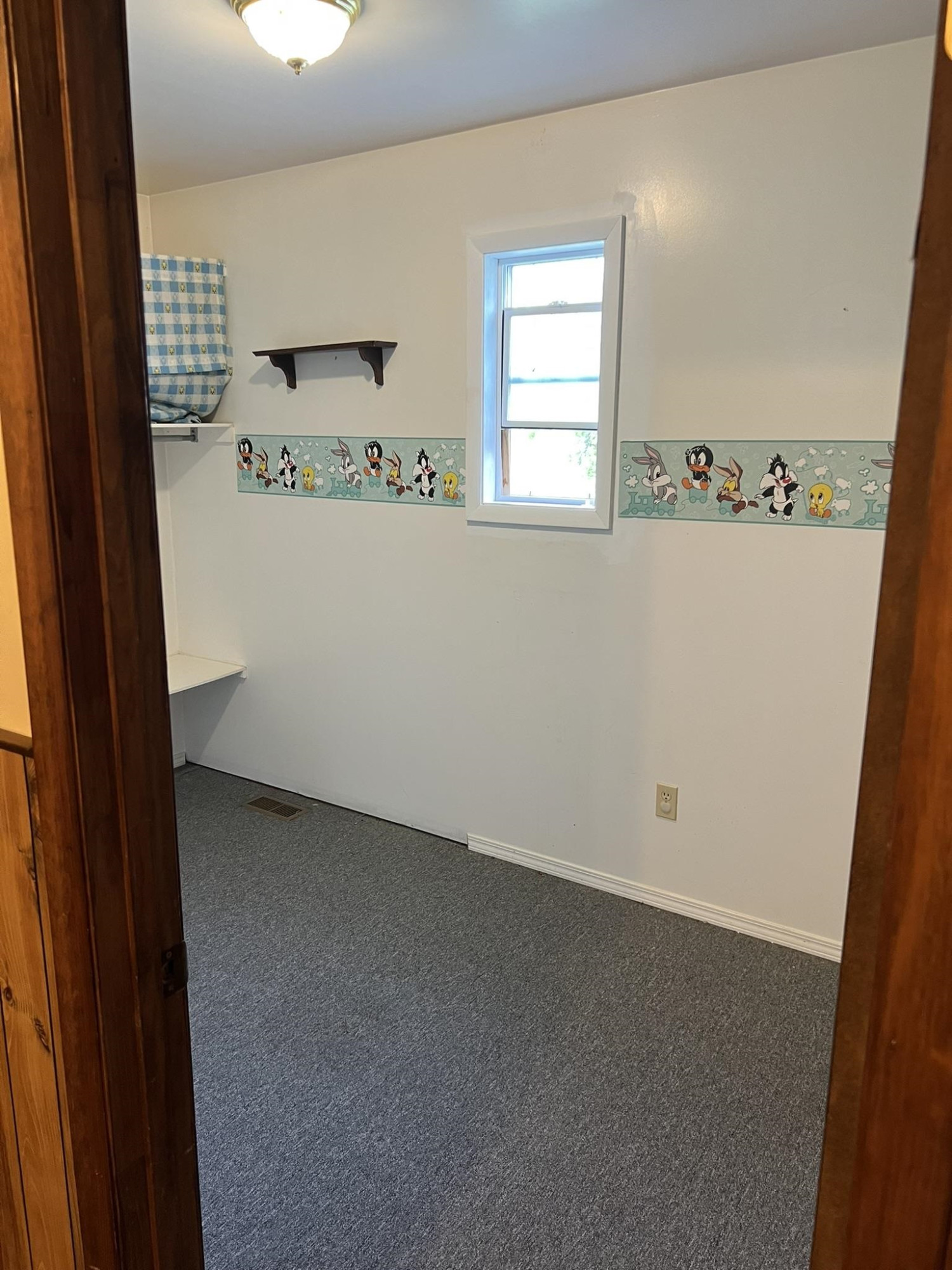 8434 E Mt Morris Road, Otisville, MI 48463 — Photo 19