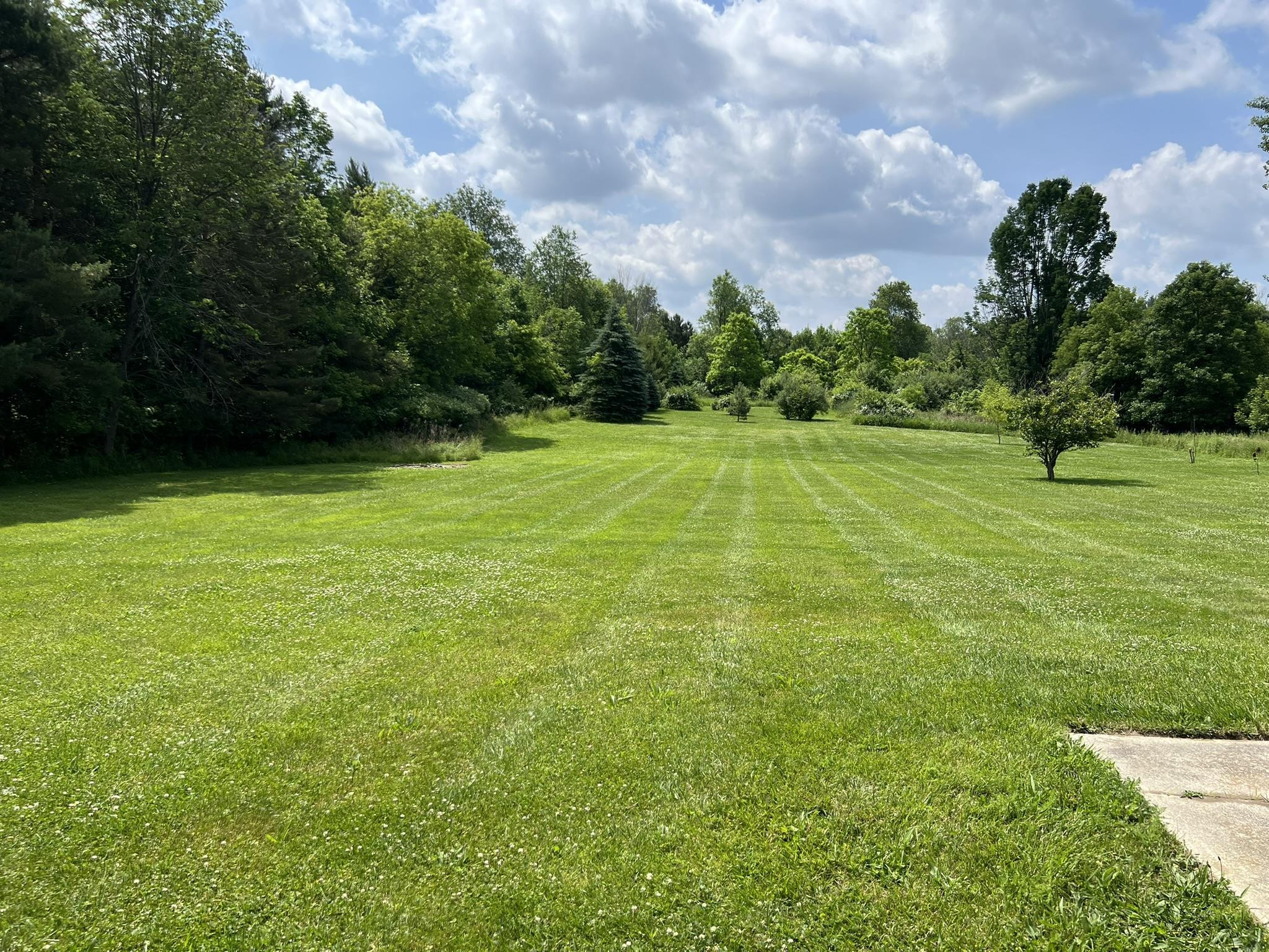 8434 E Mt Morris Road, Otisville, MI 48463 — Photo 23