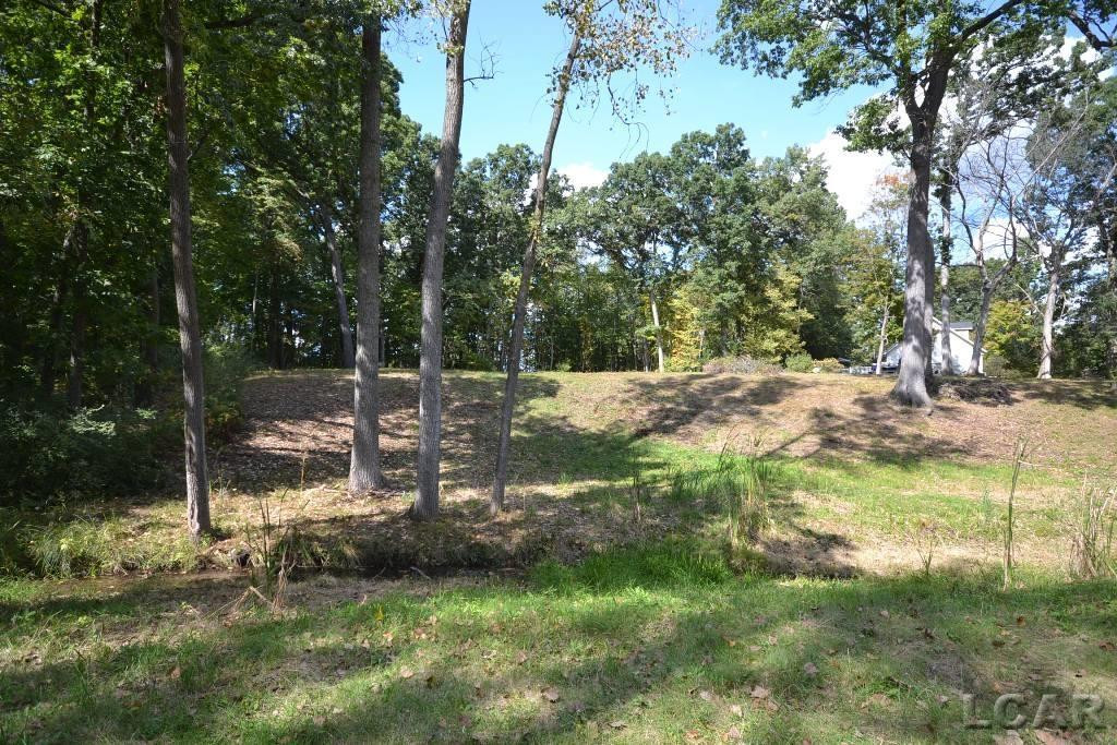 Lots 274-276 Southlawn Circle, Jerome, MI 49249 — Photo 9