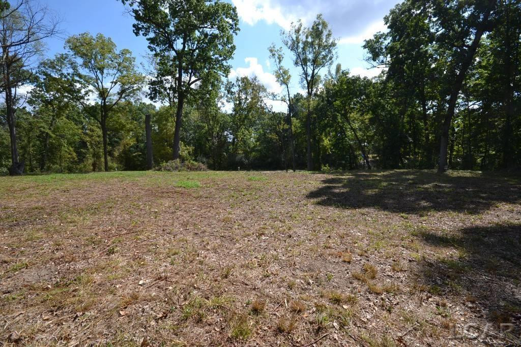 Lots 274-276 Southlawn Circle, Jerome, MI 49249 — Photo 12