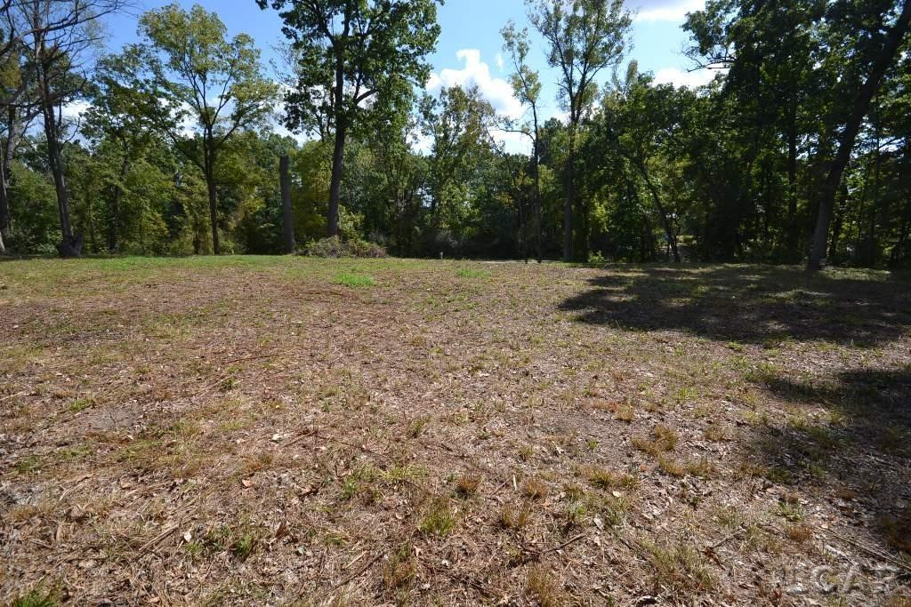 Lots 274-276 Southlawn Circle, Jerome, MI 49249 — Photo 13