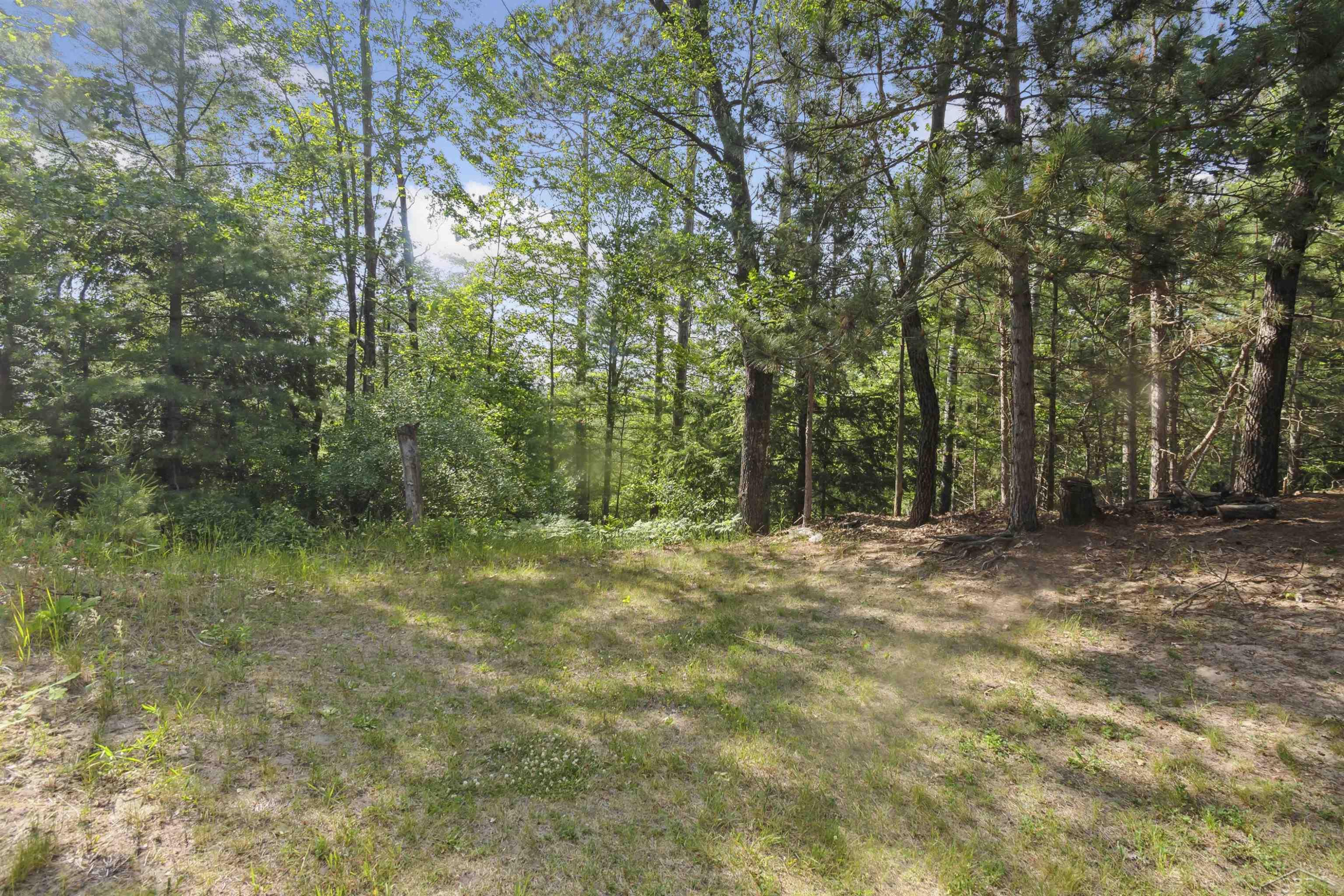 366 Pinnacle Drive, Omer, MI 48749 — Photo 11