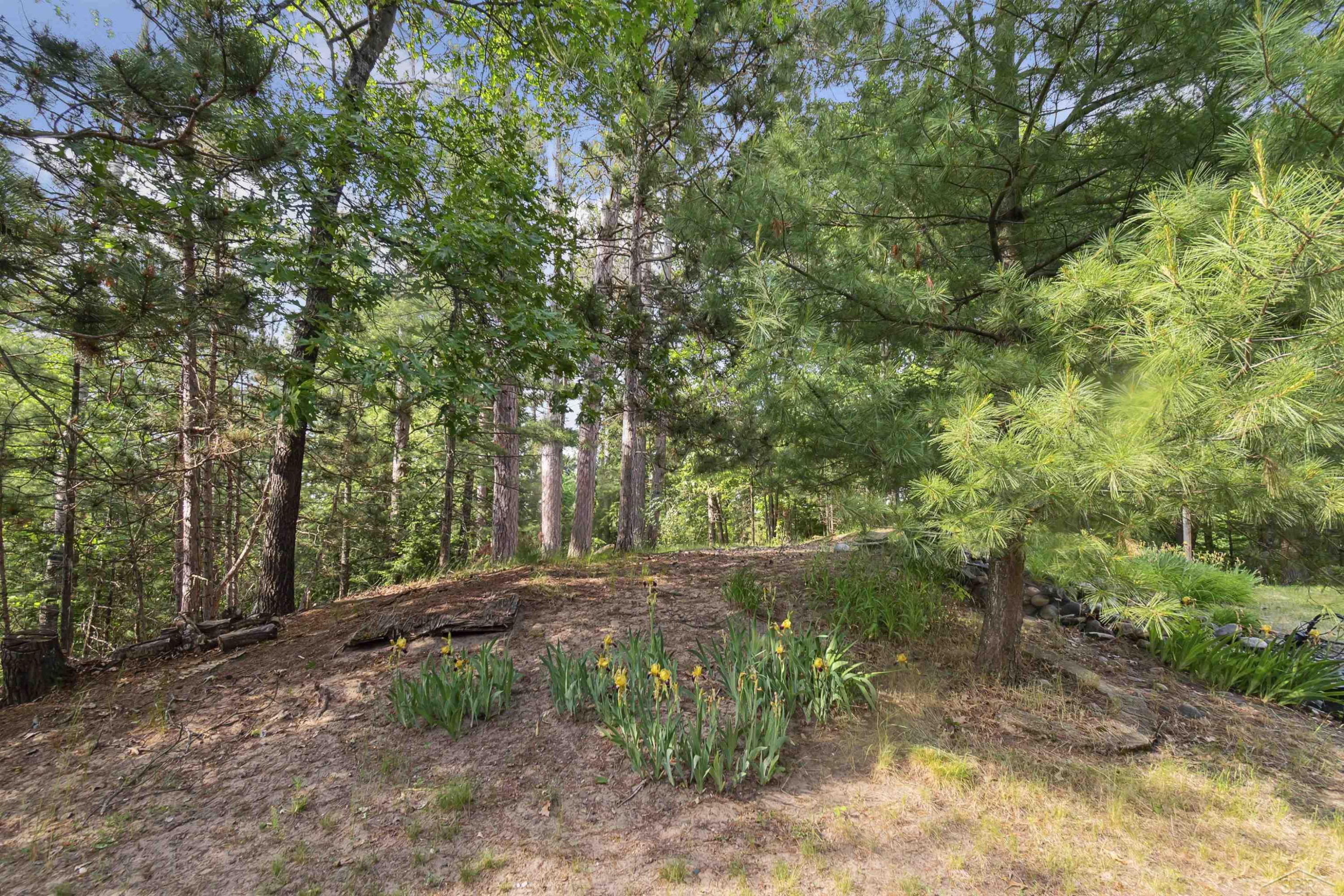 366 Pinnacle Drive, Omer, MI 48749 — Photo 12