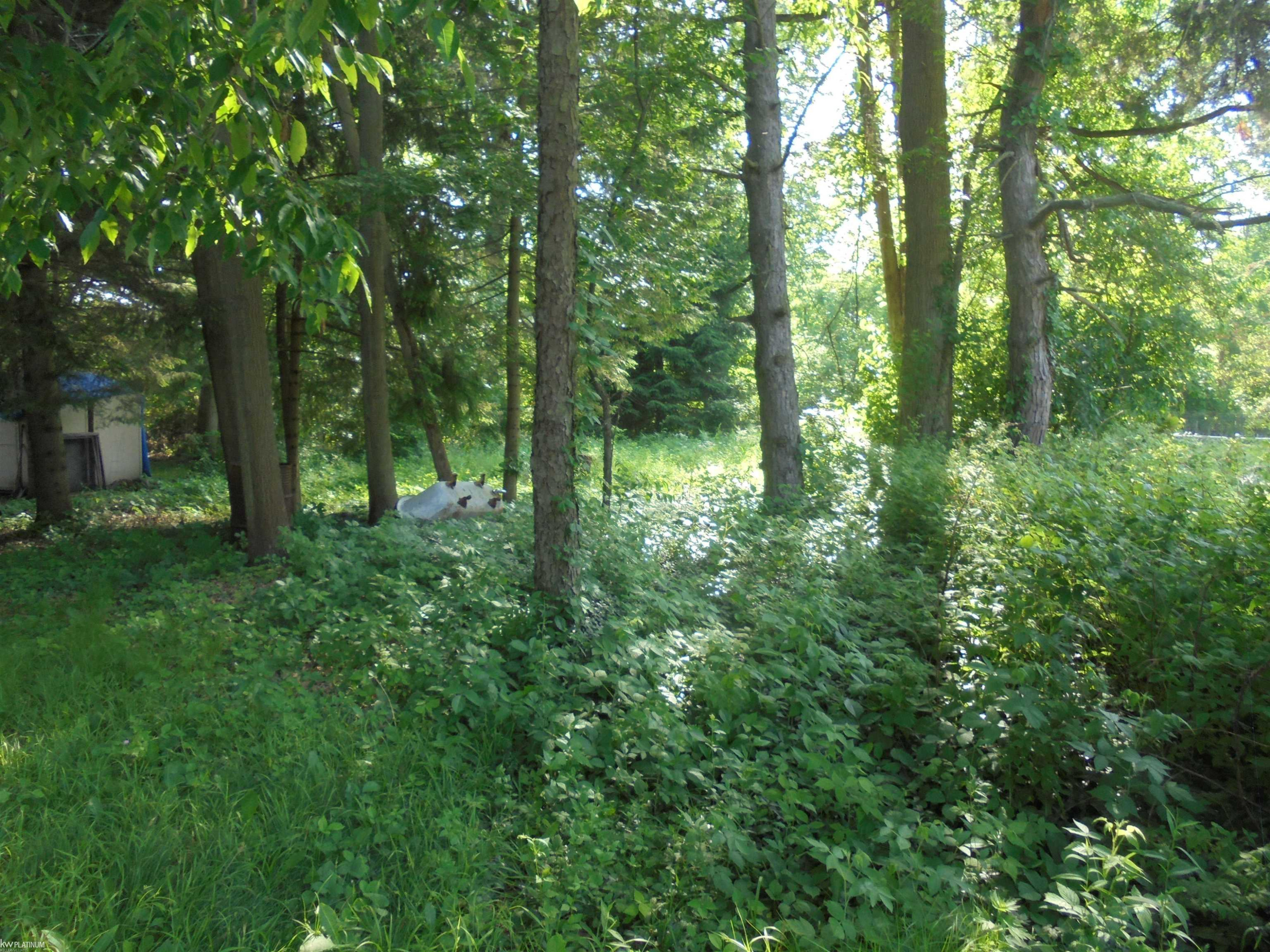 6533 Bunker Road, MI 48059 — Photo 12