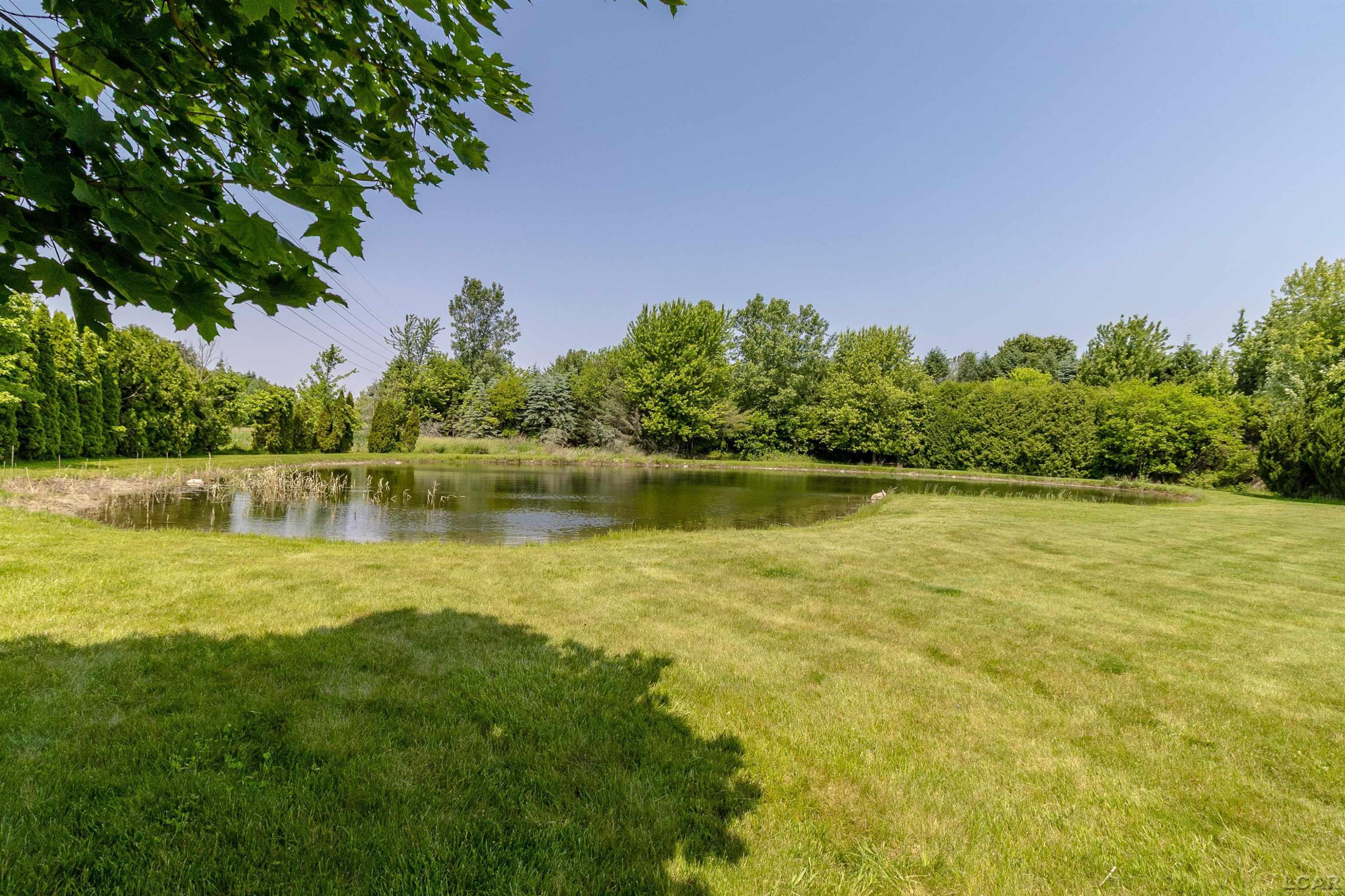 4180 Corey Highway, Blissfield, MI 49228 — Photo 70