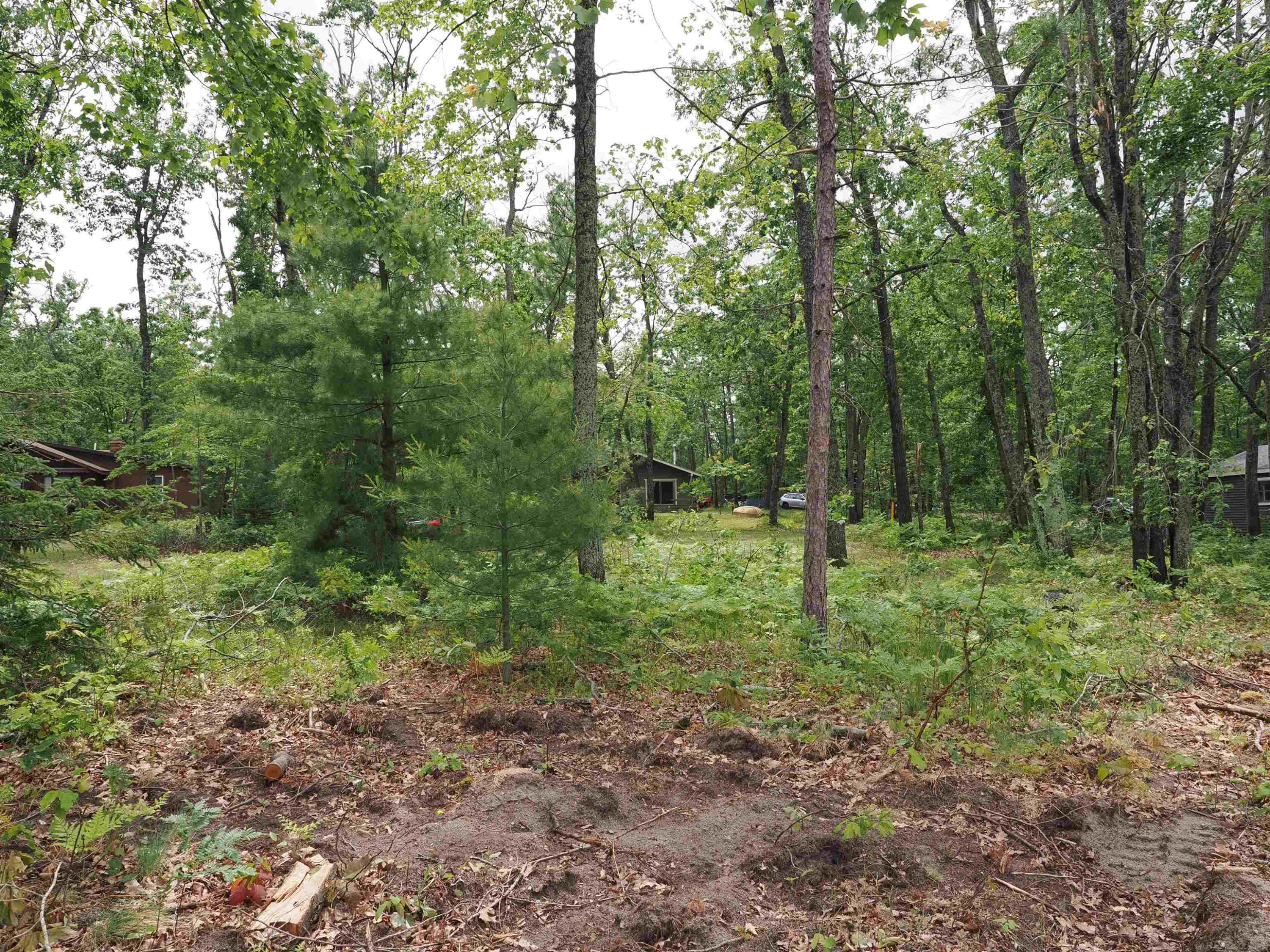 14941 Bayshore Lane, Lewiston, MI 49756 — Photo 34