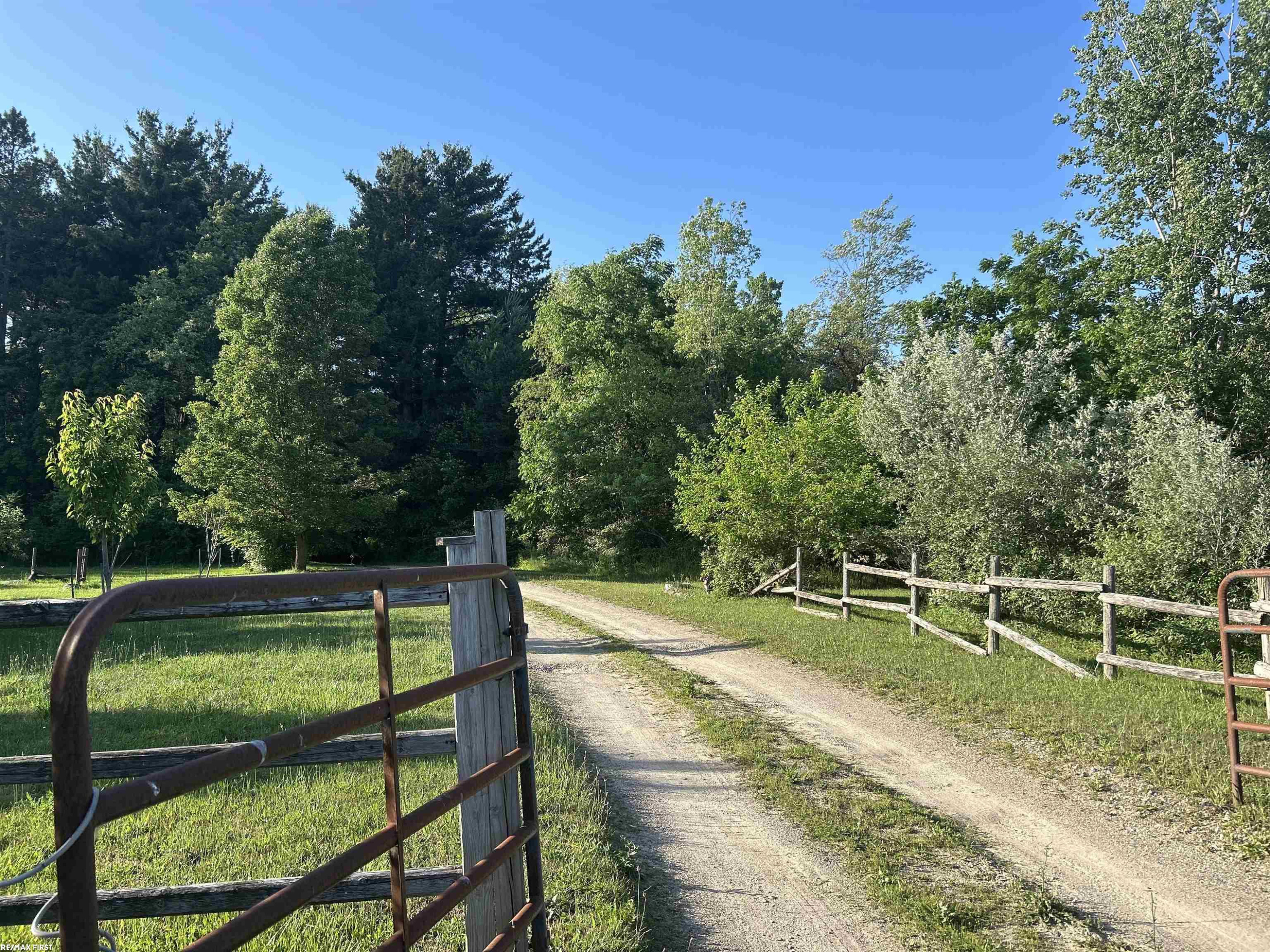6553 Mayville Road, Clifford, MI 48727 — Photo 4