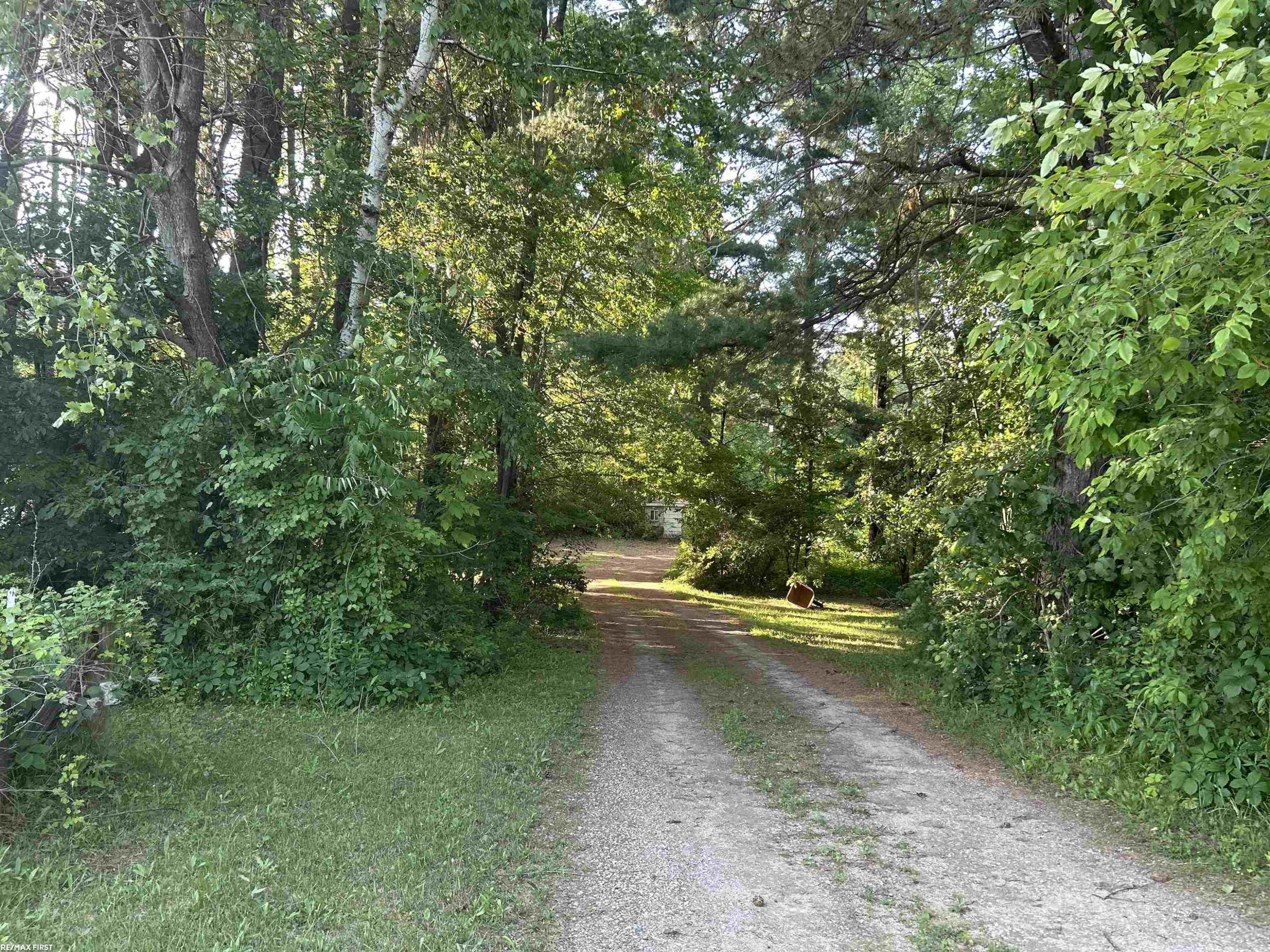 6553 Mayville Road, Clifford, MI 48727 — Photo 7