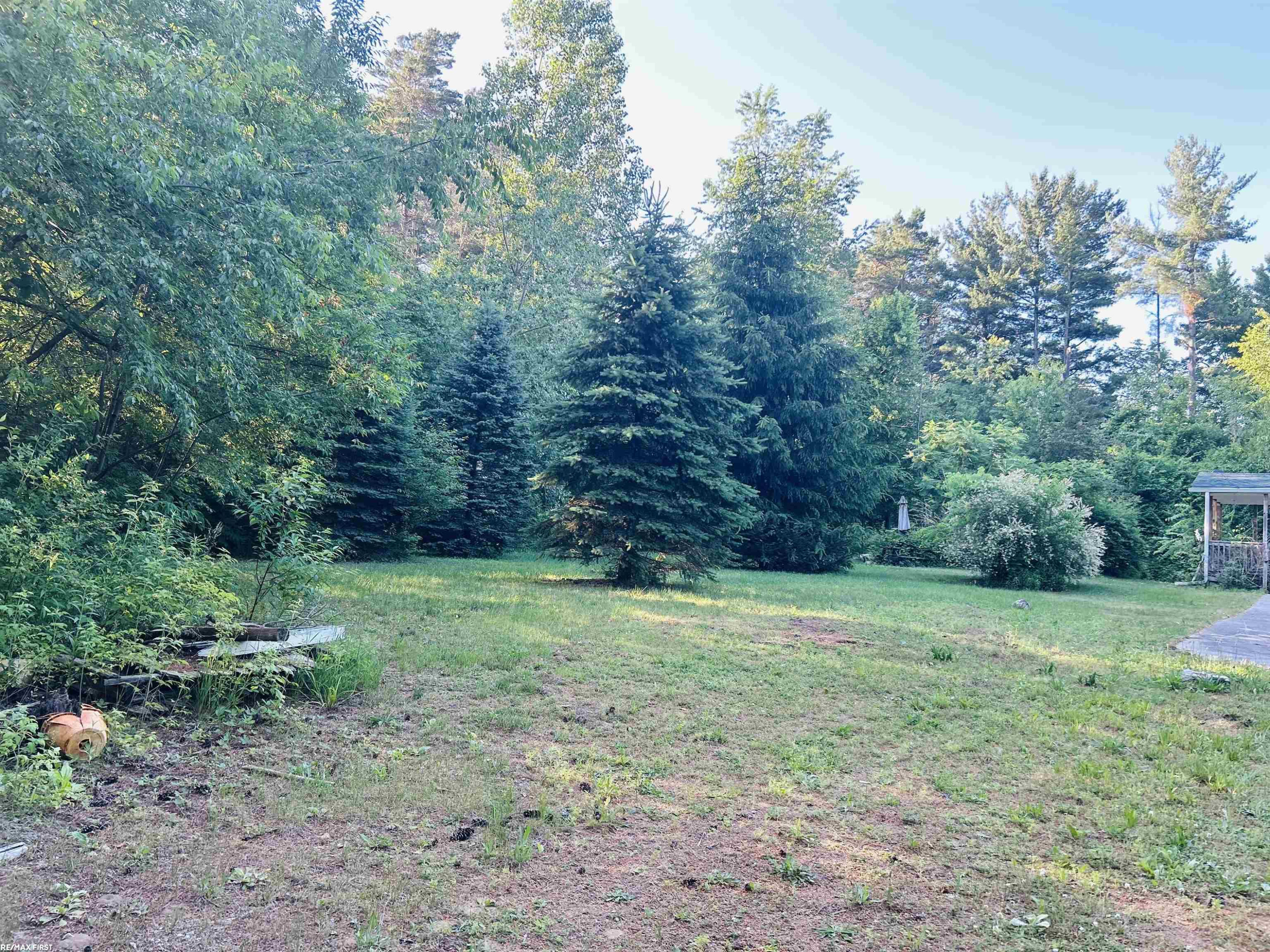 6553 Mayville Road, Clifford, MI 48727 — Photo 8