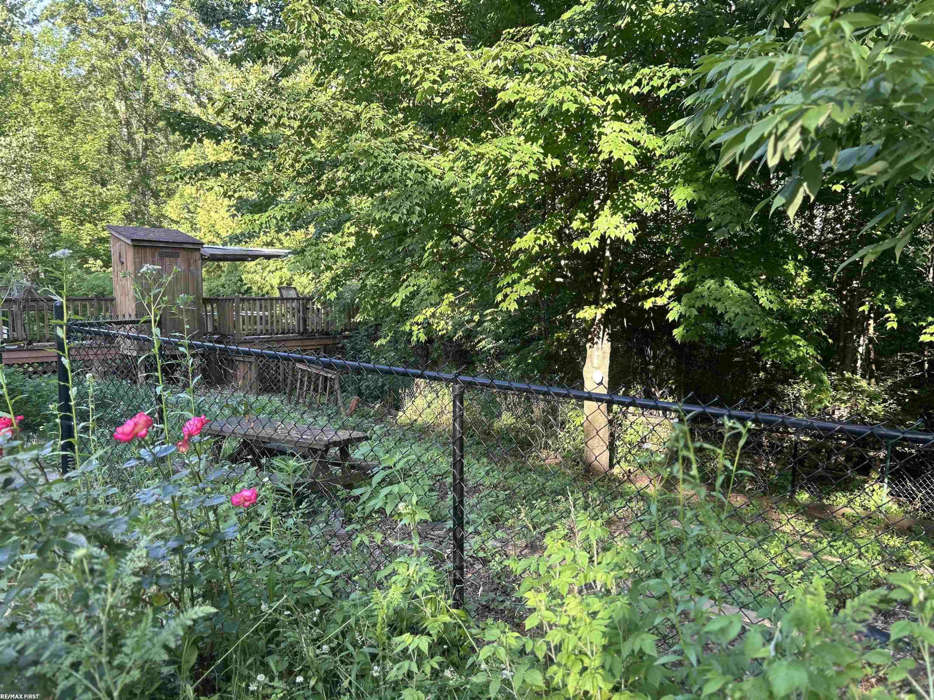 6553 Mayville Road, Clifford, MI 48727 — Photo 11