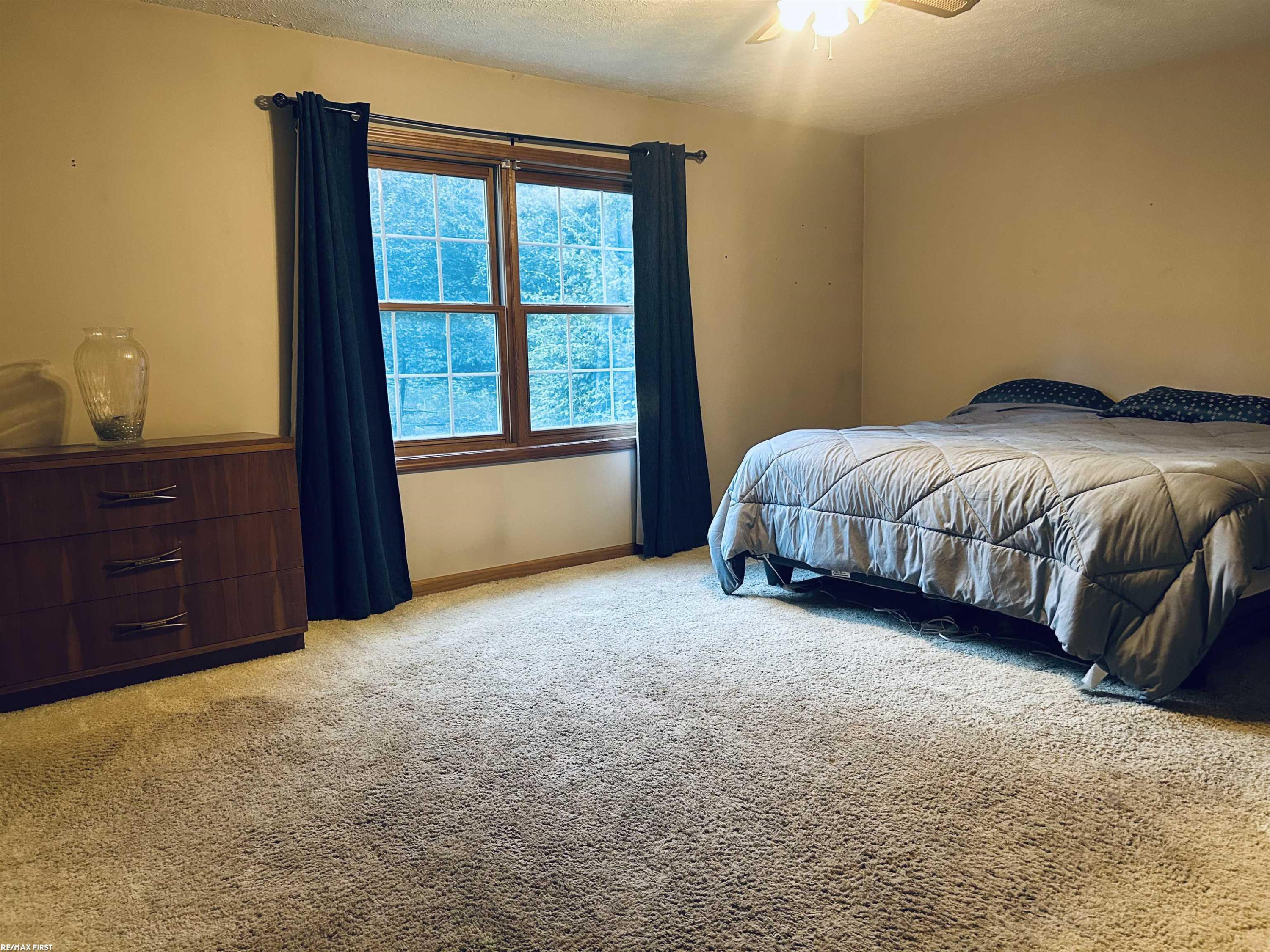 6553 Mayville Road, Clifford, MI 48727 — Photo 19