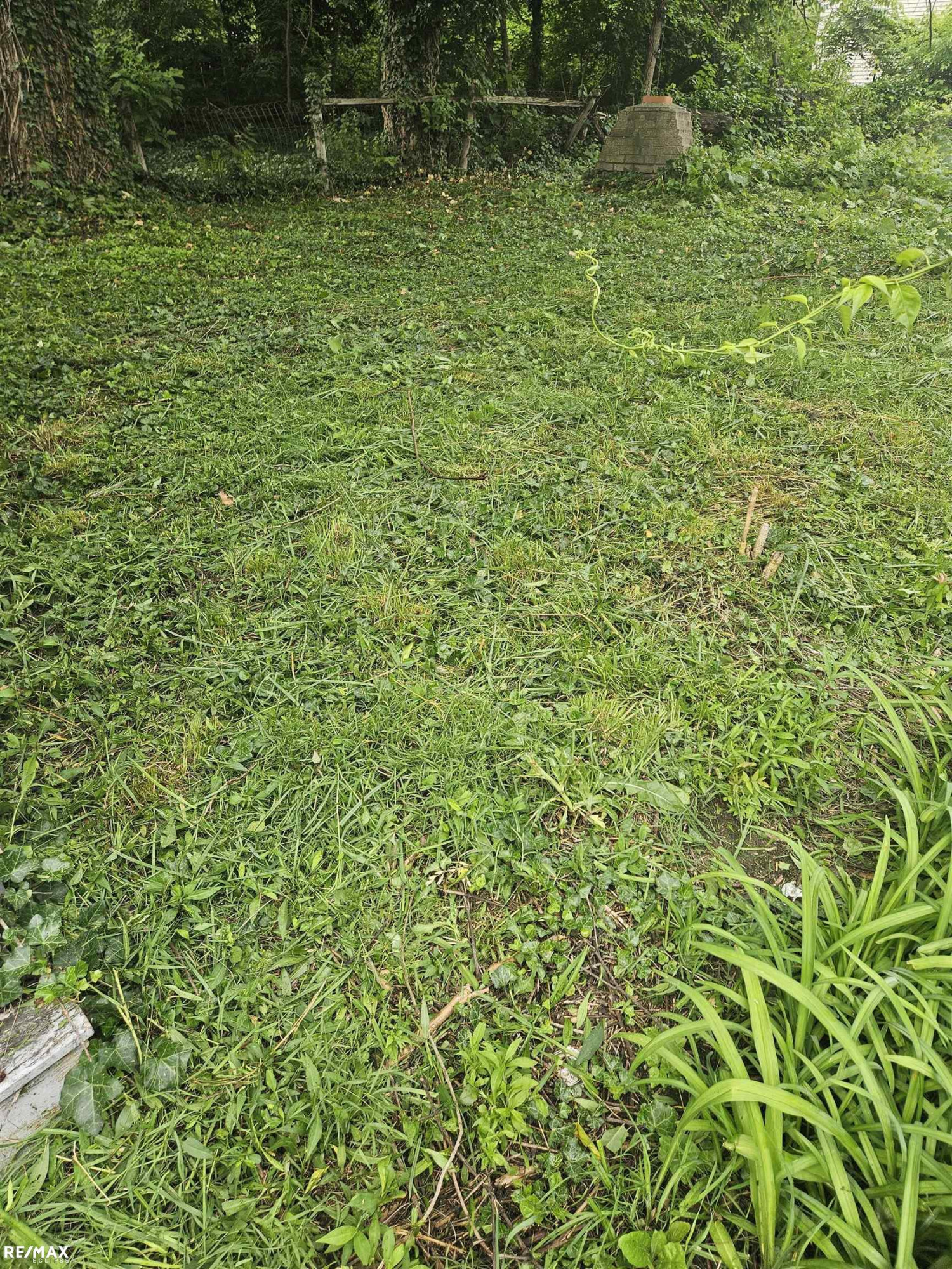 2516 Baldwin, Detroit, MI 48214 — Photo 11