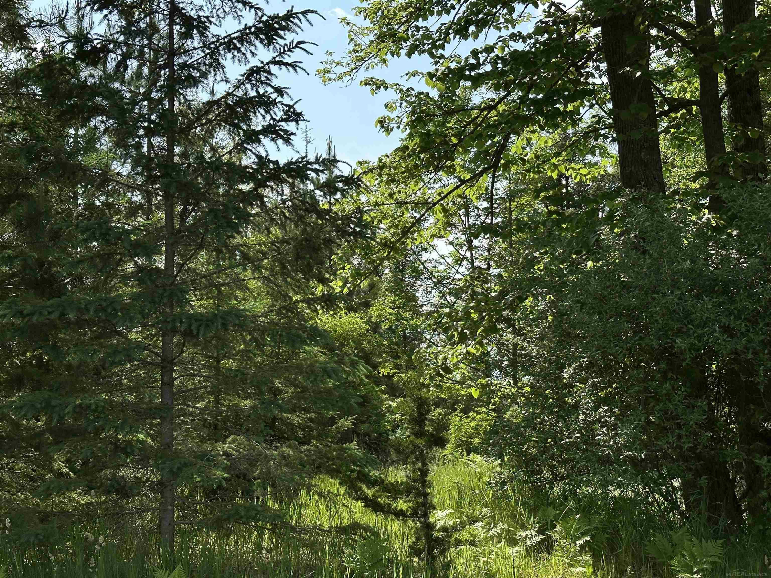 N17375 Co Rd 579 Road, Hermansville, MI 49847 — Photo 2
